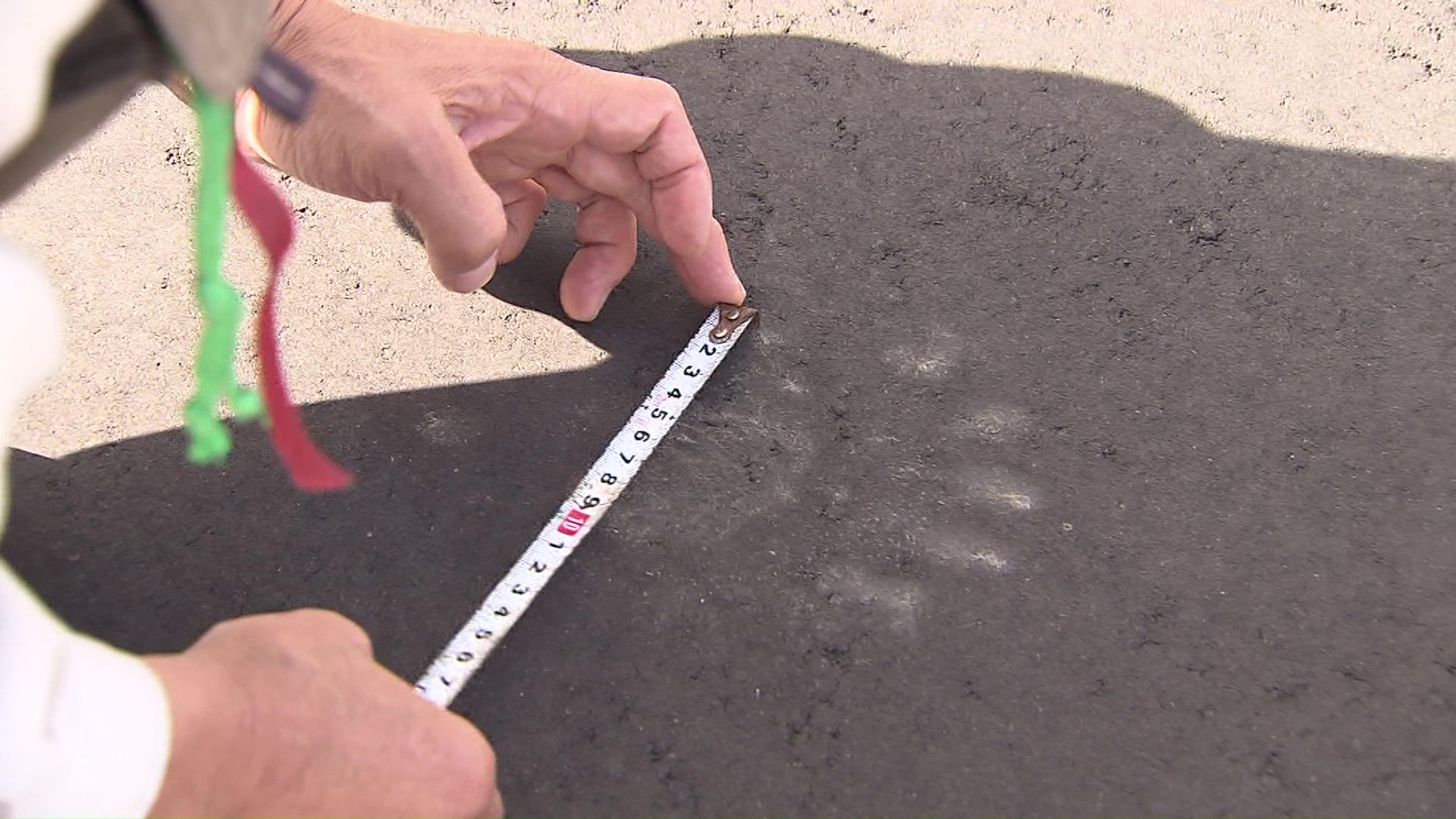 クマの足跡を確認