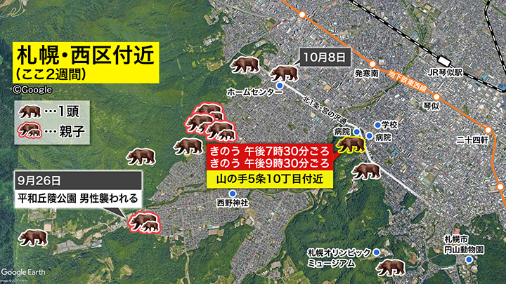 クマの出没場所