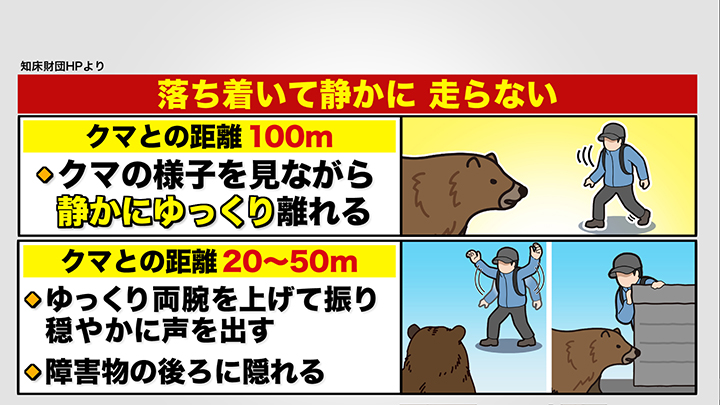 クマと遭遇した際は…