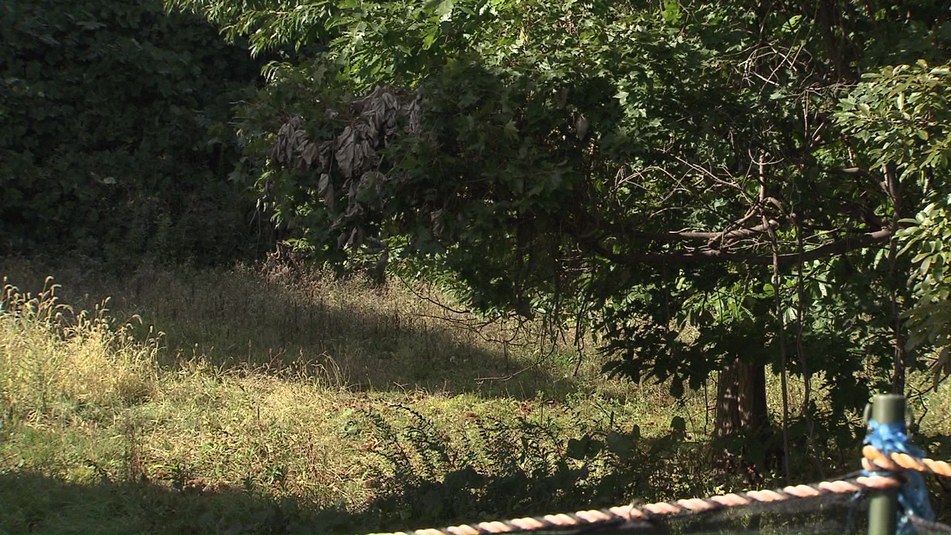 クマが出没した現場（札幌市西区）