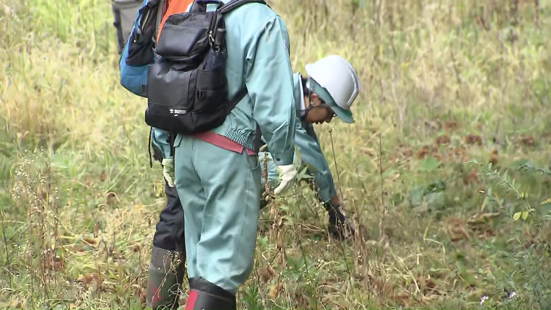 クマの痕跡を調査している札幌市の担当者