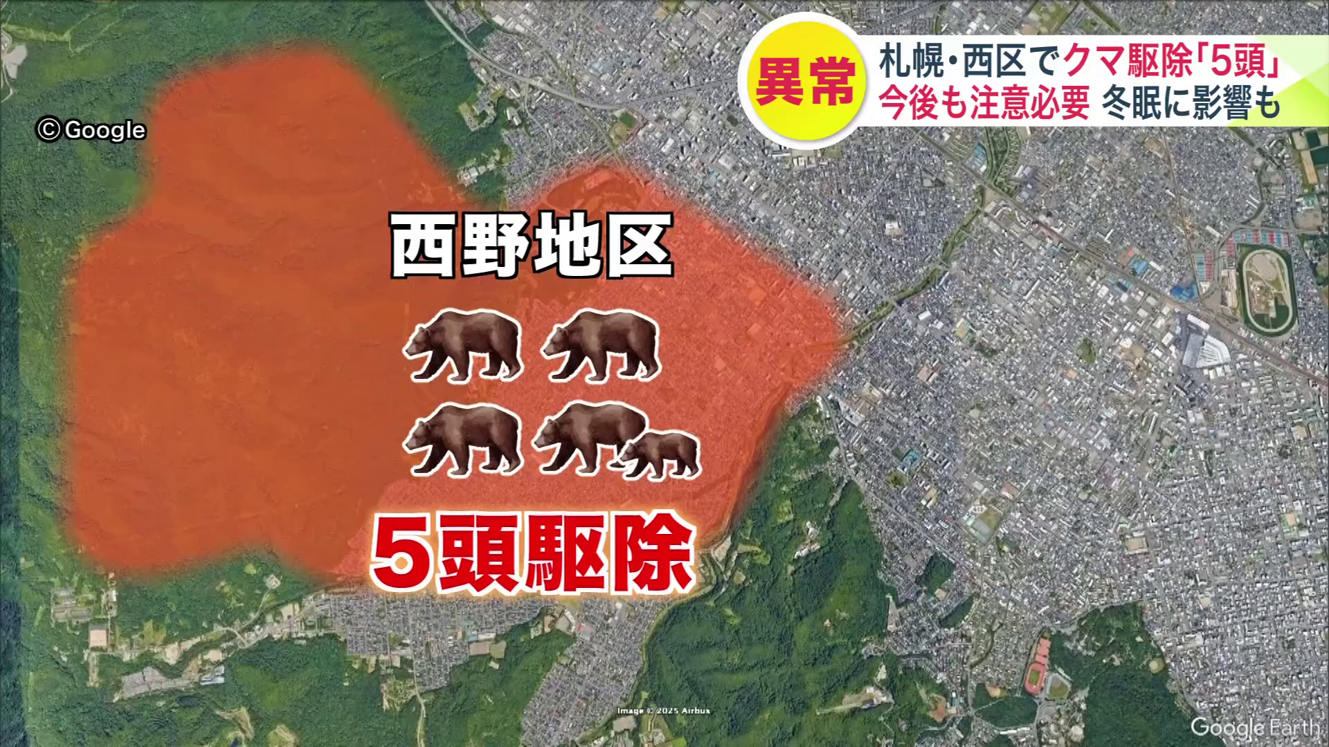 札幌市西区の西野地区ではクマ5頭が駆除された
