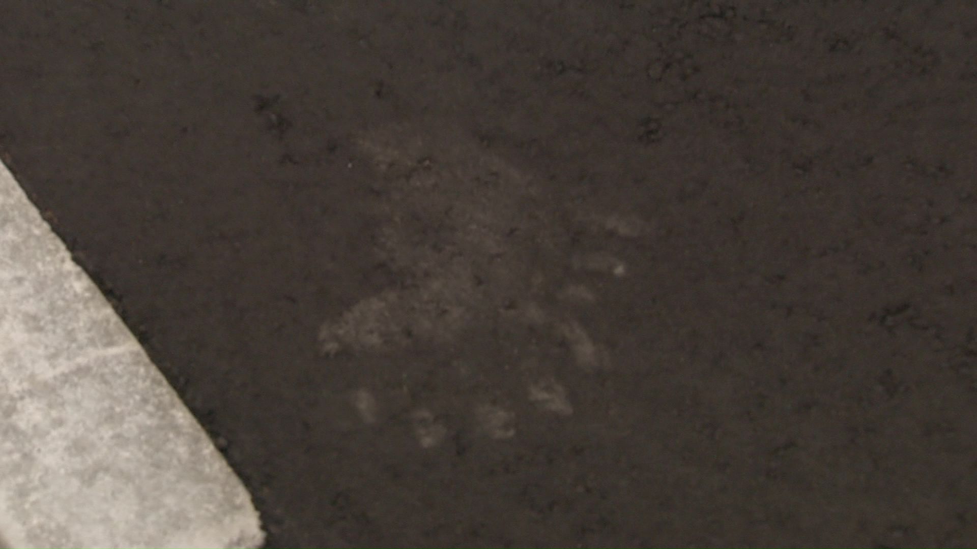 住宅街に残されたクマの足跡