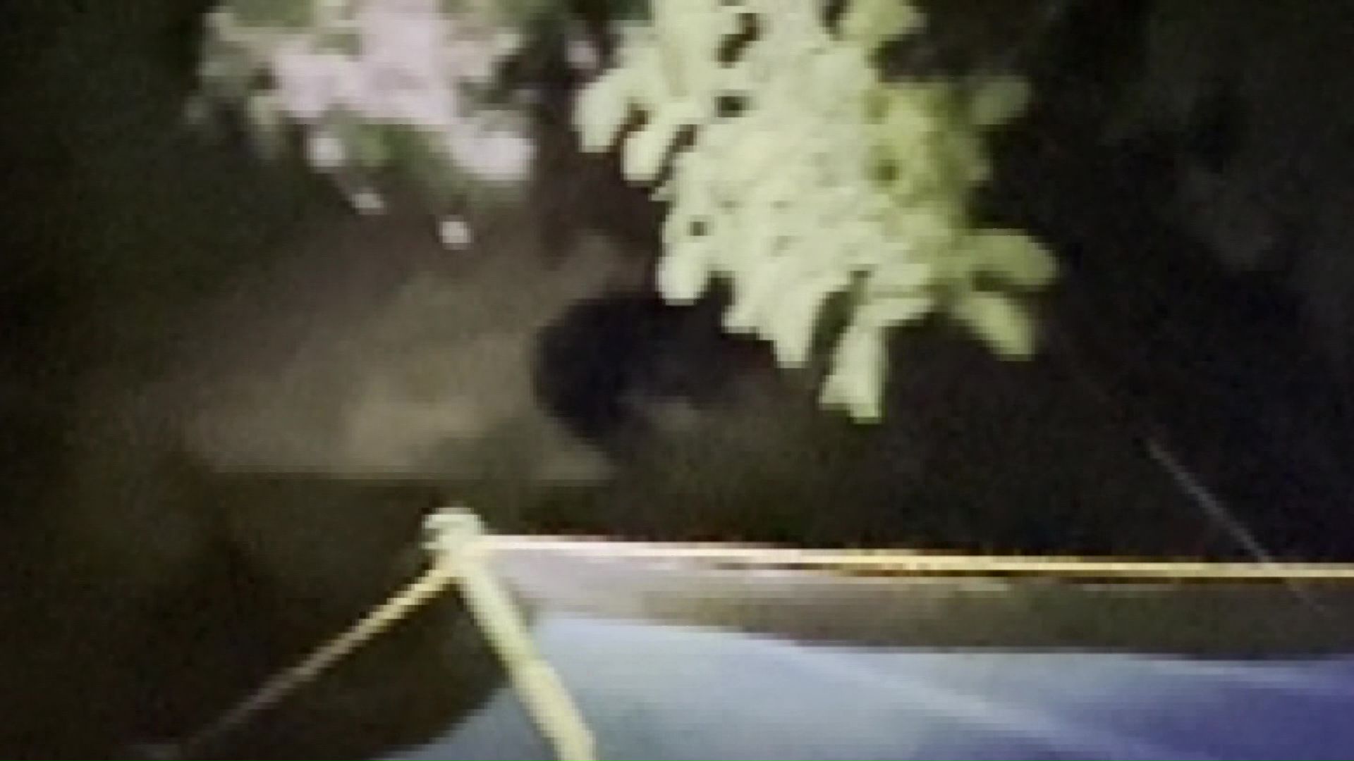 1時間ほど居座りクリを食べていたクマ(提供:札幌市)