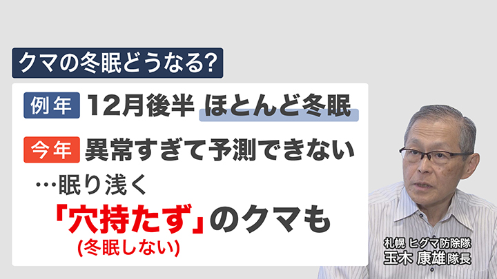 冬眠しない「穴持たず」のクマも