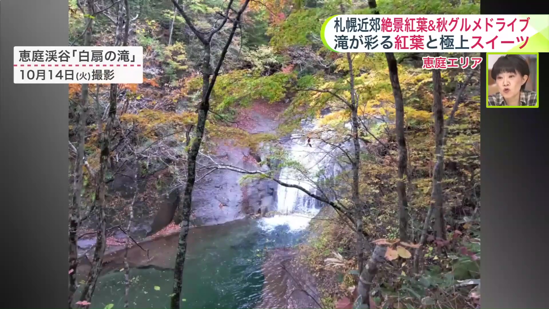 徐々に紅葉が進んでいる「白扇の滝」の様子(10月14日撮影)