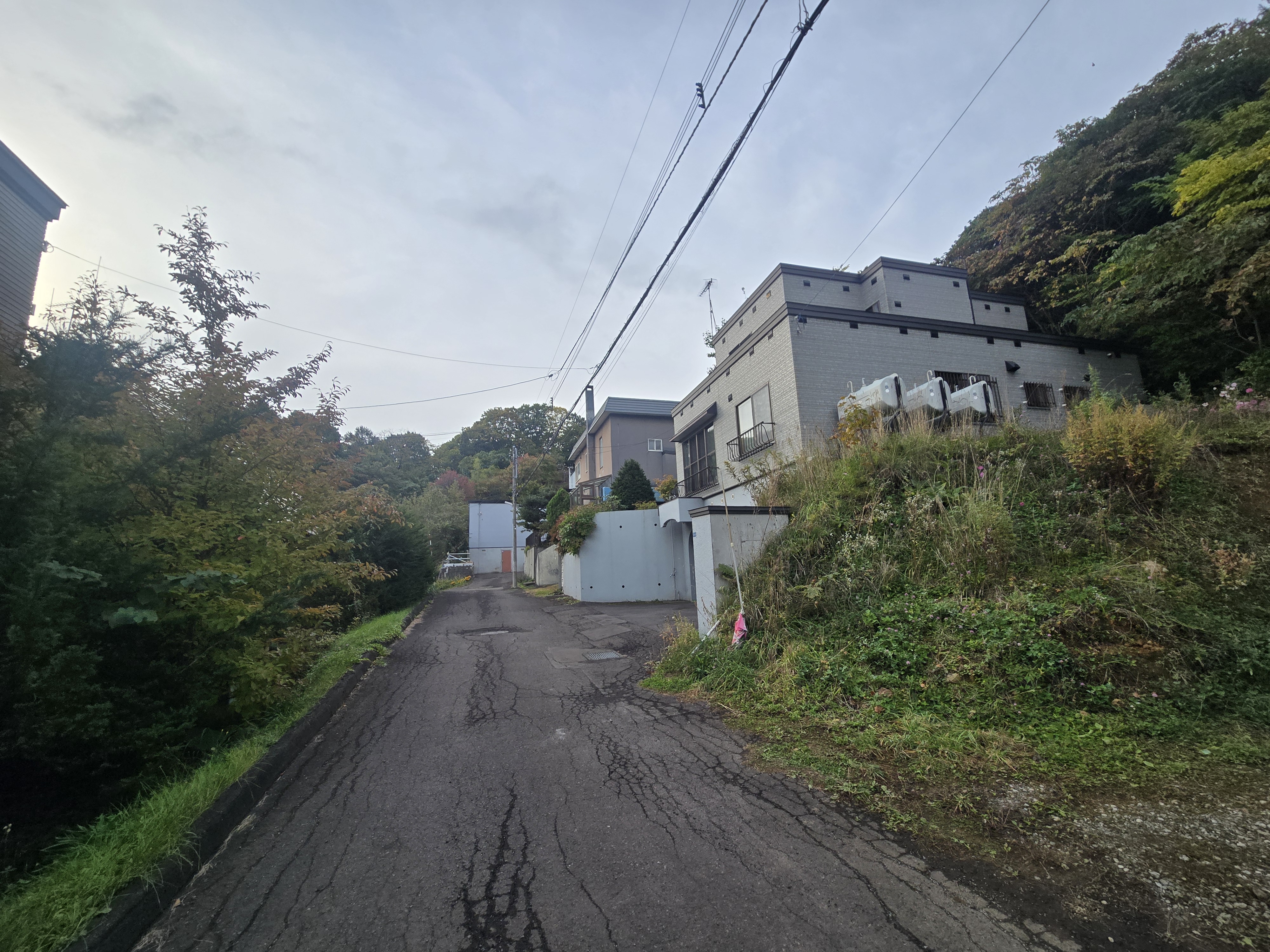 クマが出没した現場付近(午前8時ごろ)