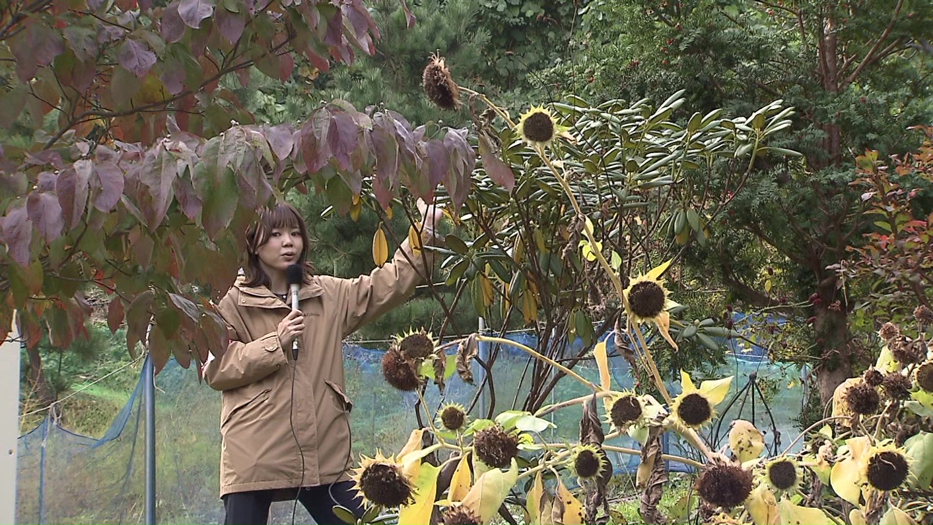クマが木の実を食べていた場所