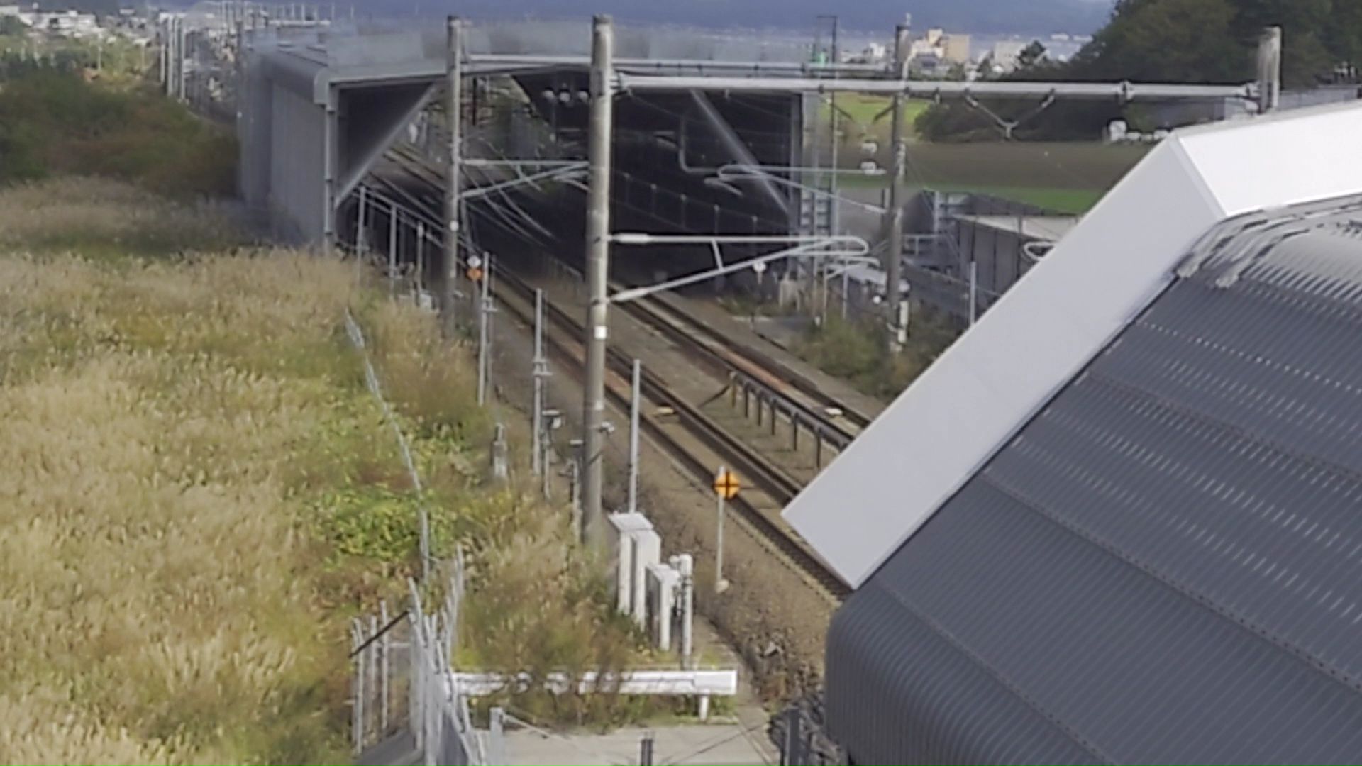 北海道新幹線の路上にシカが侵入しているのを乗務員が発見