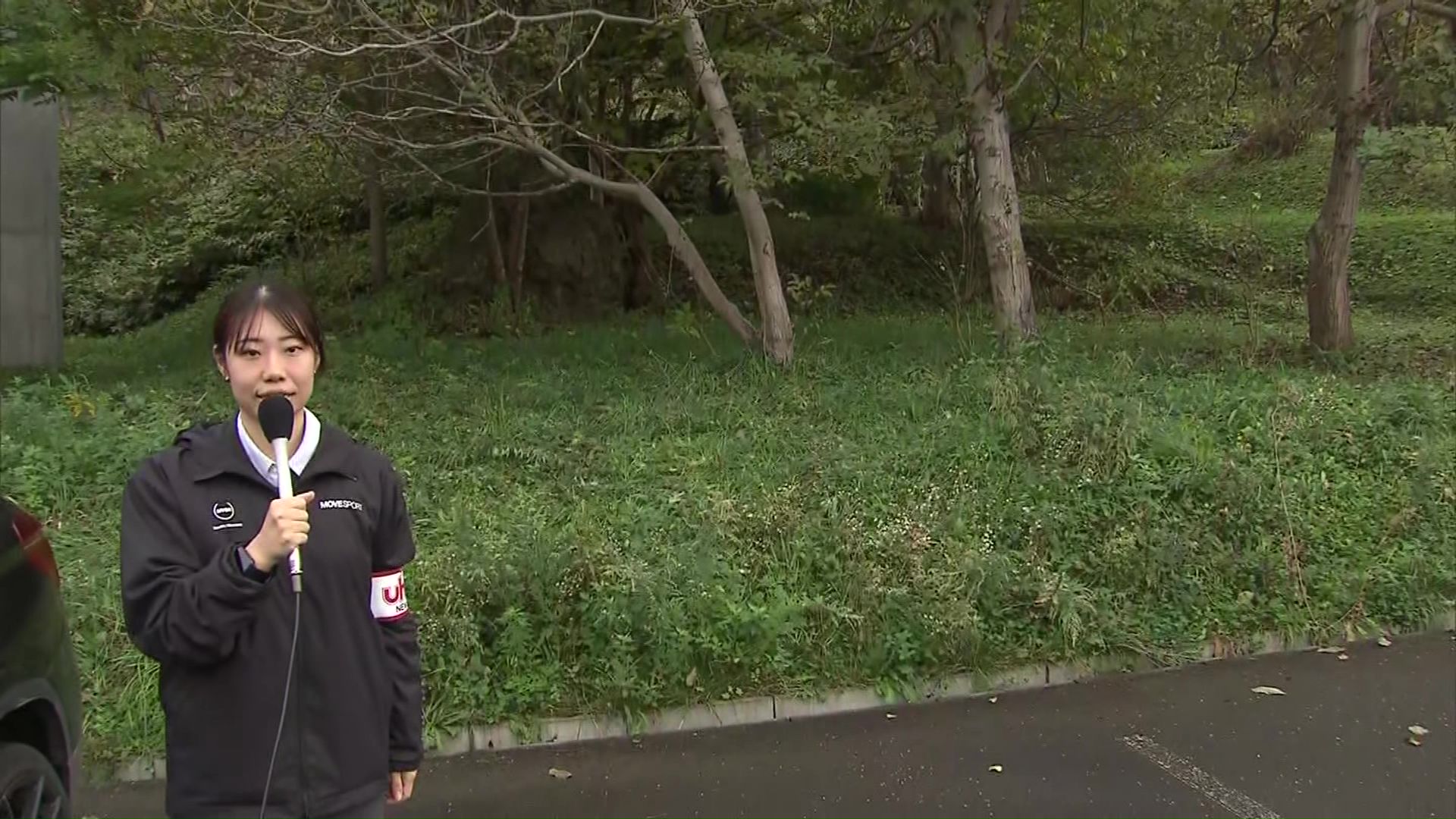 クマが目撃された場所