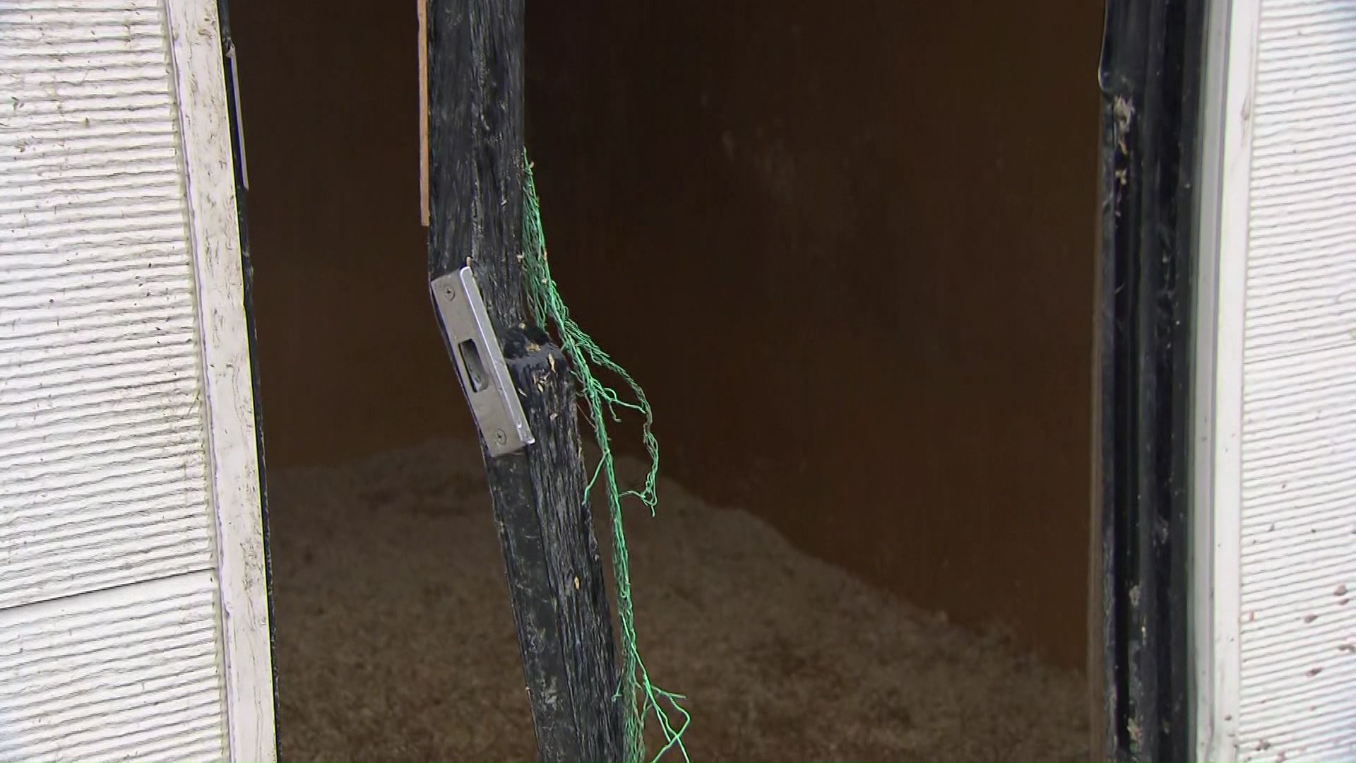 クマにより壊された養鶏場のドア