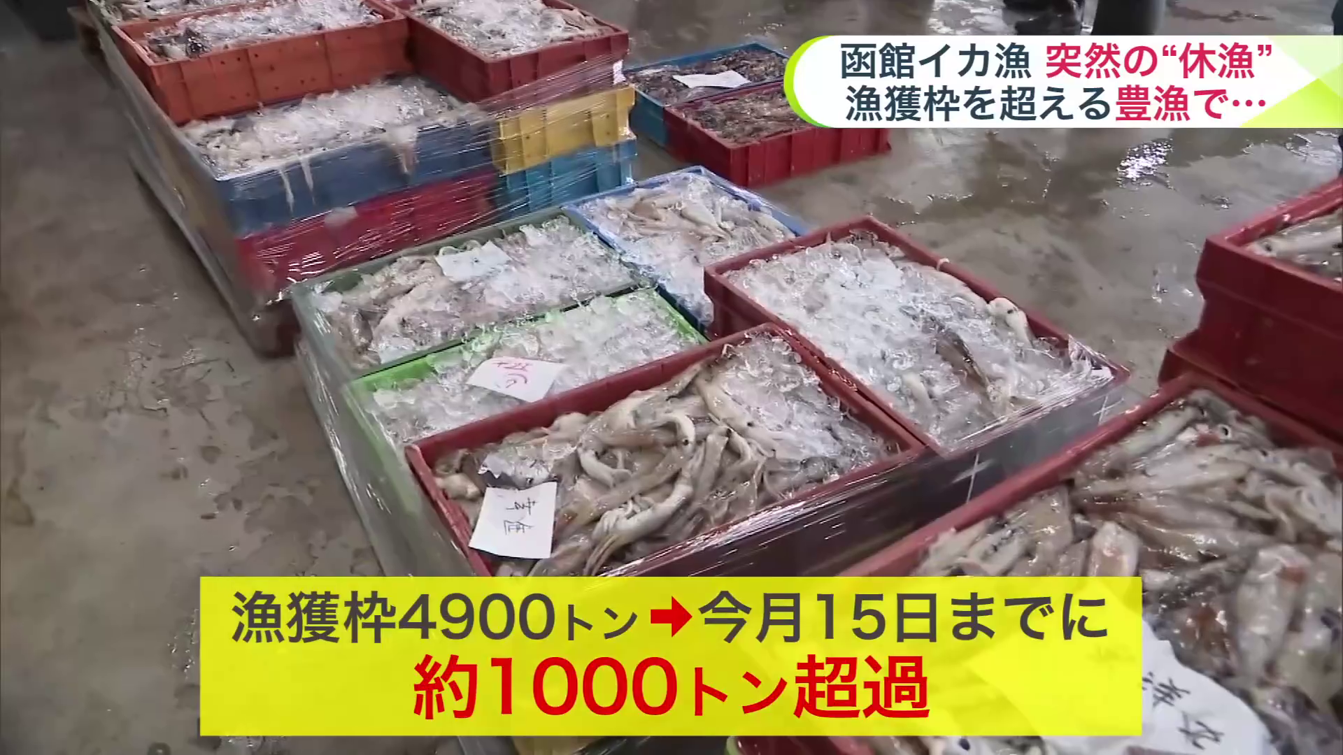 漁獲枠から約1000トン超過