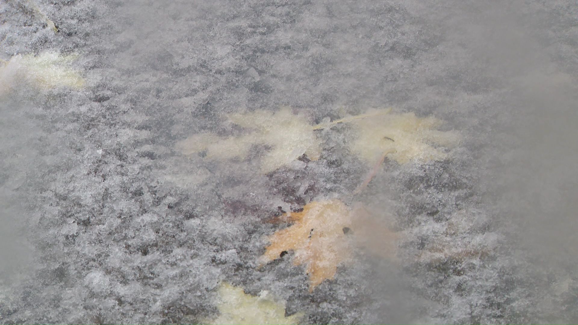 旭川市では午後1時に積雪1センチを観測