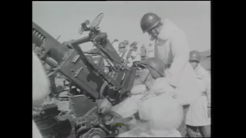 自衛隊が機関砲などでトドを駆除したことも（1961年 資料）