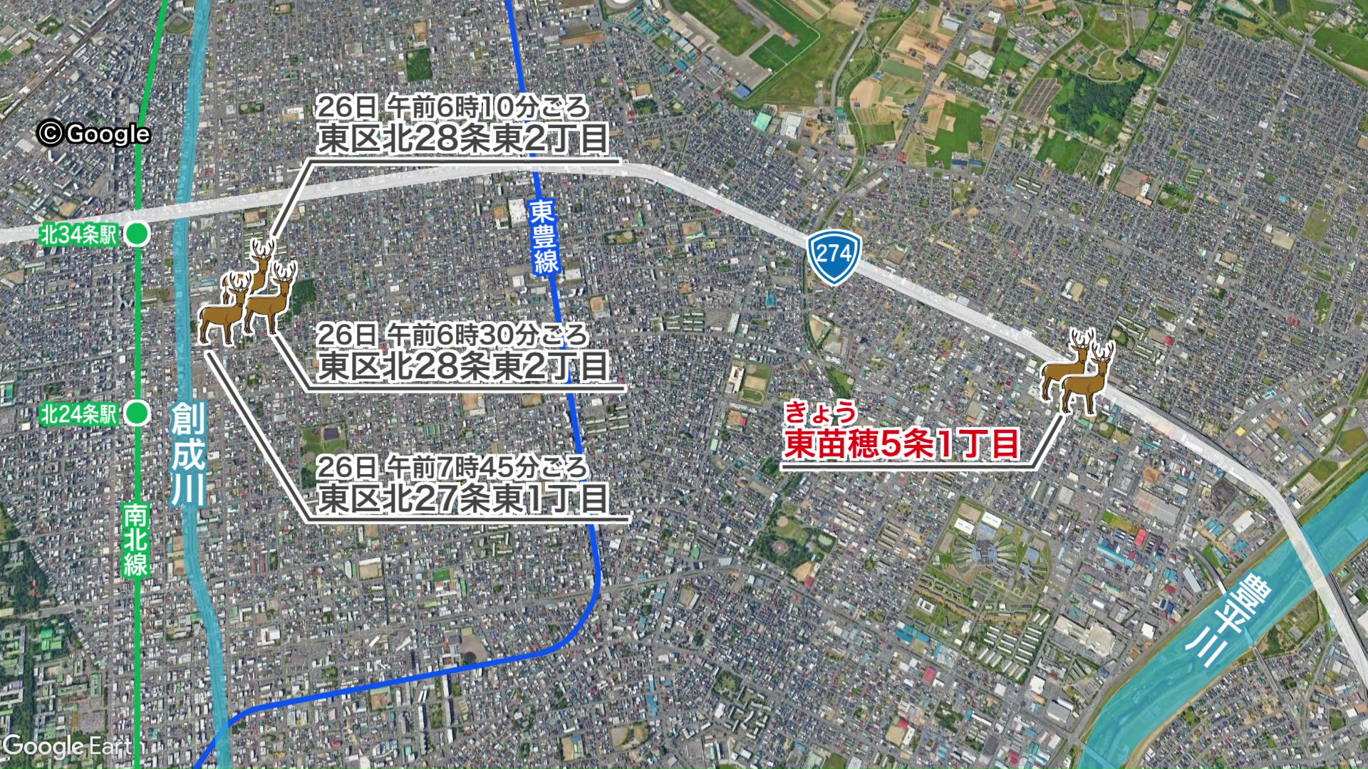 周辺のシカ目撃情報