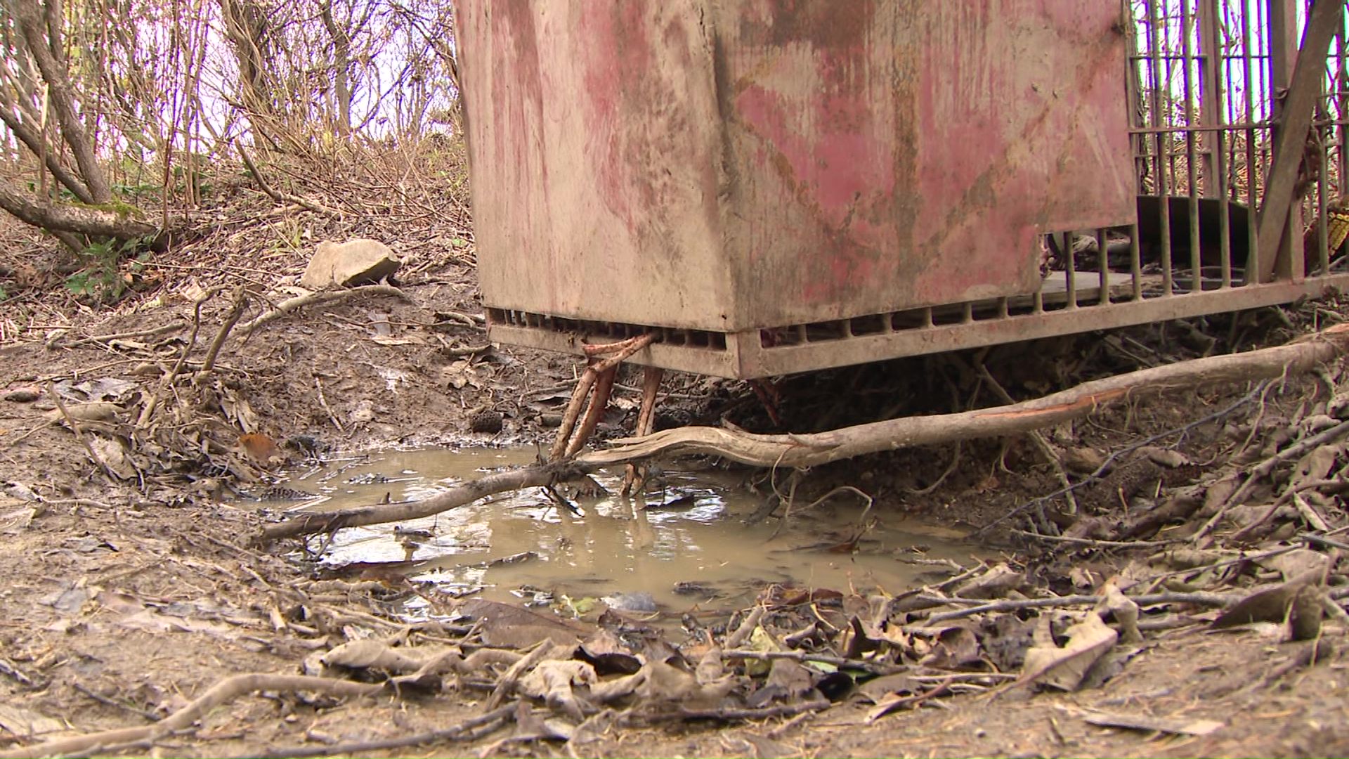 箱罠の周りには地面を掘った形跡が