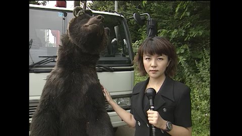 1998年8月　小樽で駆除されたクマ　約250キロ