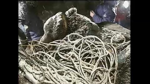 1998年11月　ハンターを襲ったクマ　約400~500キロ