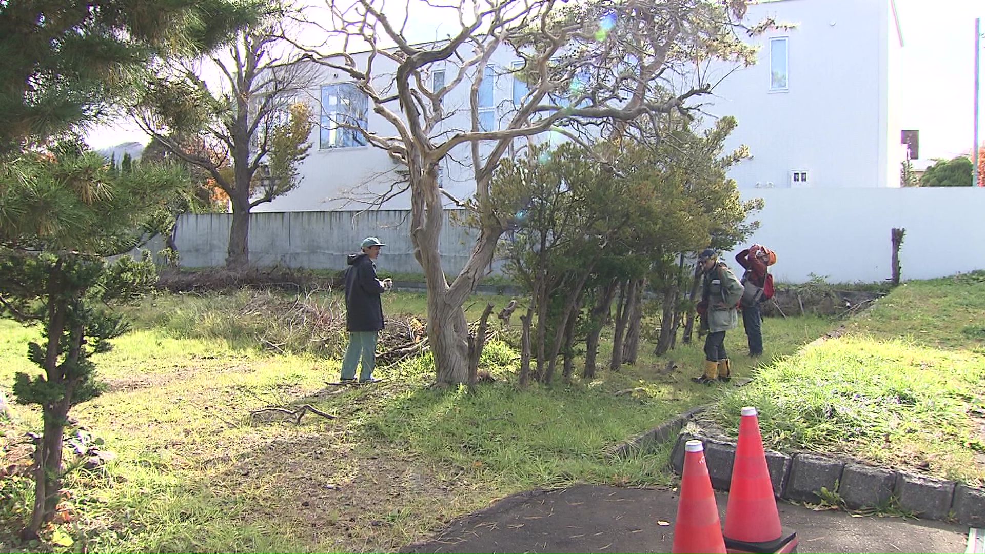 宮の森2条13丁目付近で「クマを目撃した」という通報