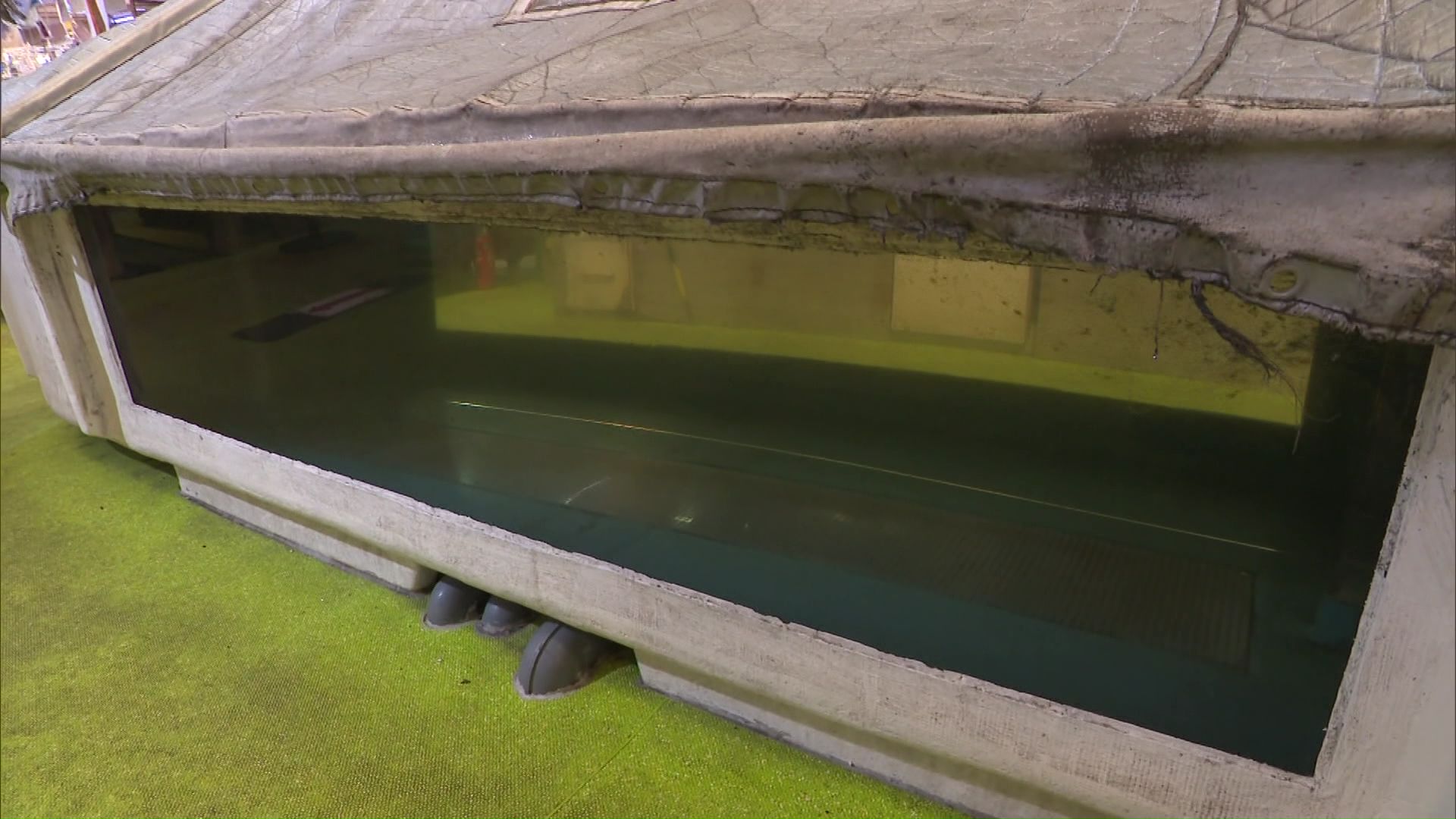 イカの釣り堀は水槽にカバーがかけられ休業していた