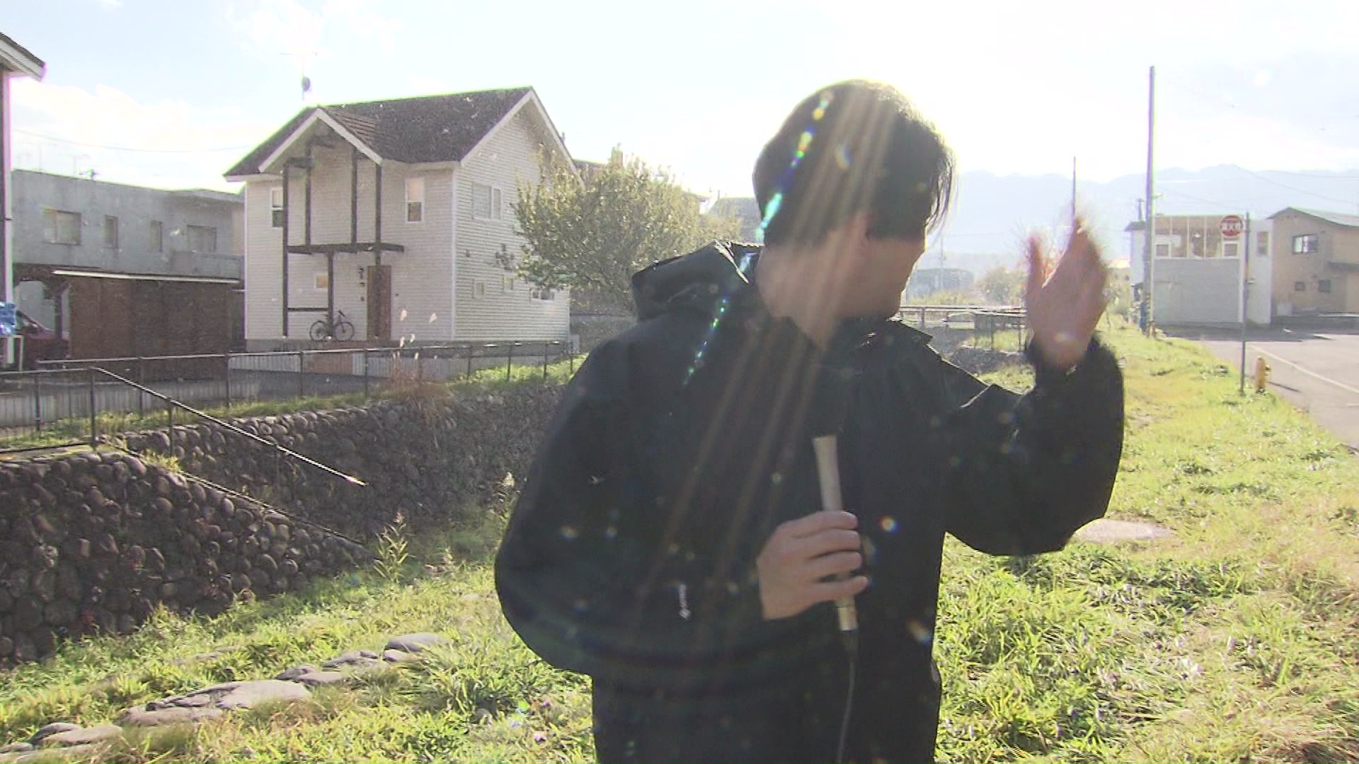 目や口に入りそうになるほどの大量の雪虫