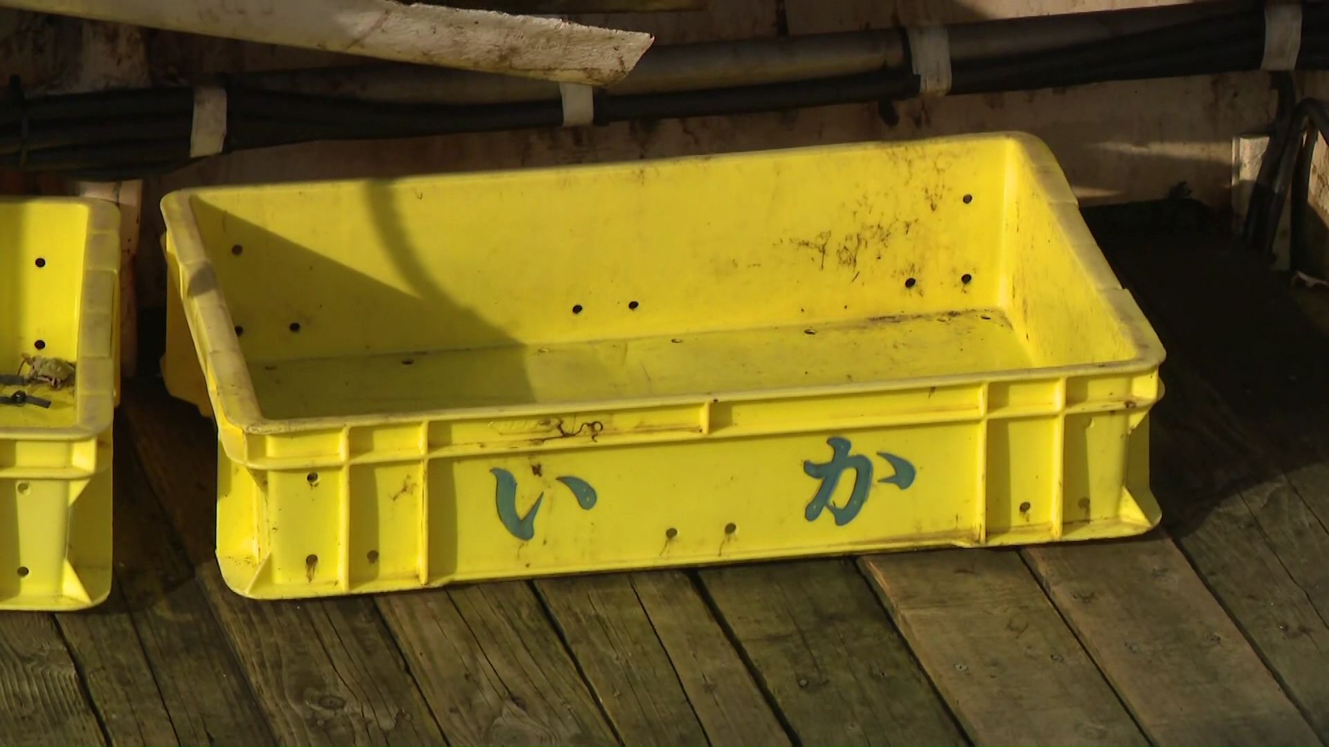 11月1日から全国で停止命令が出ている小型船スルメイカ釣り漁