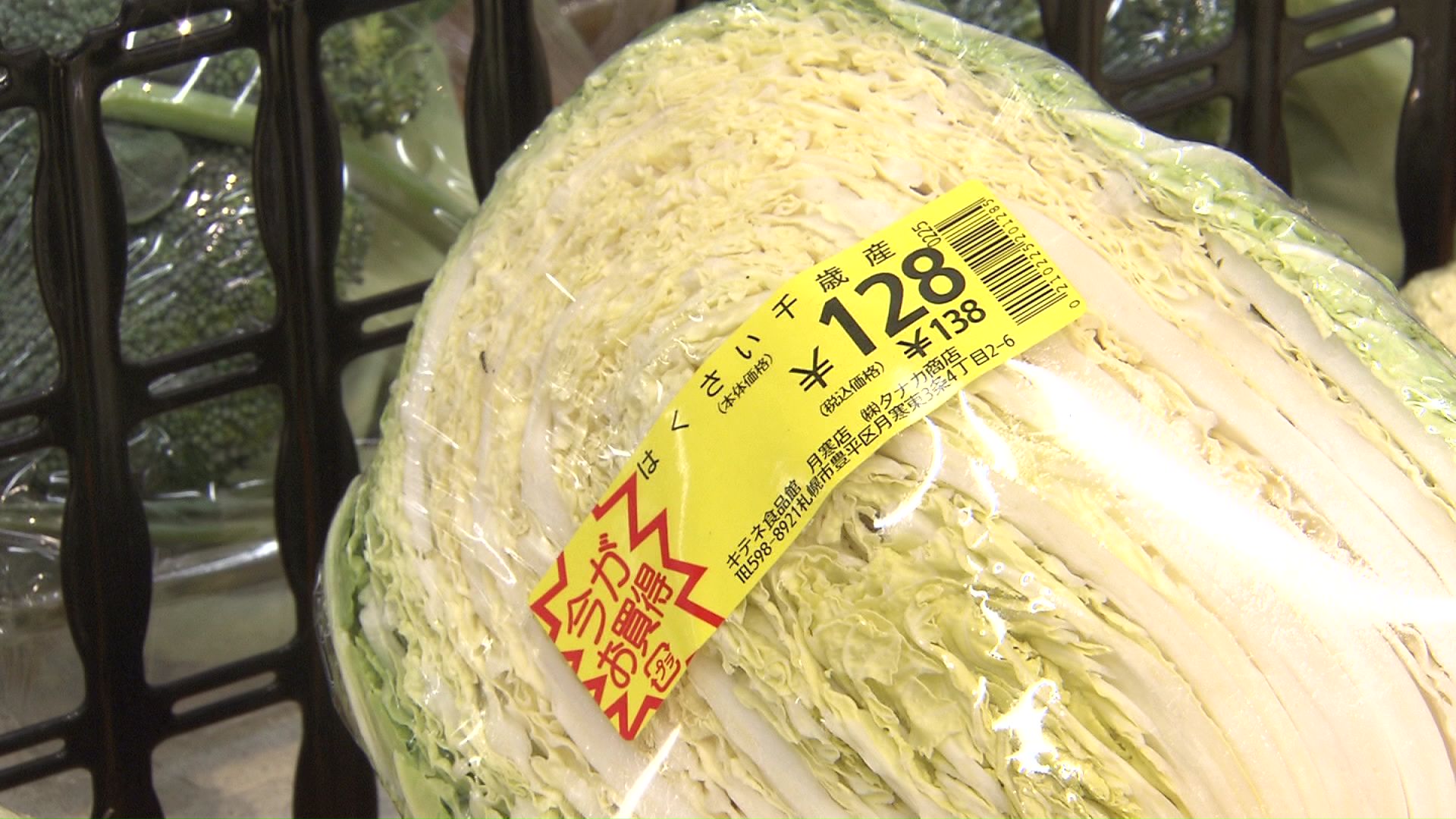 今年のハクサイは？