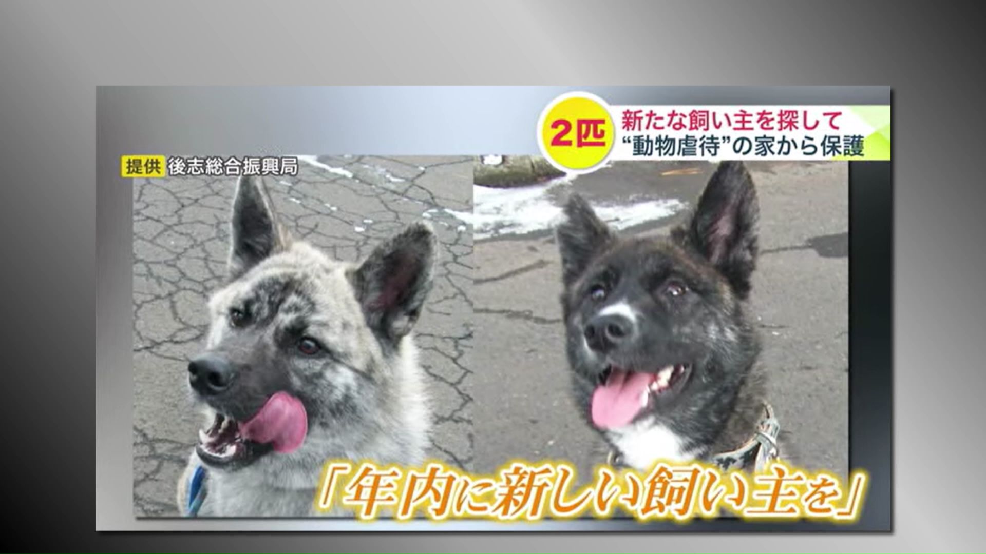 (2023年12月放送のuhb「みんテレ」)