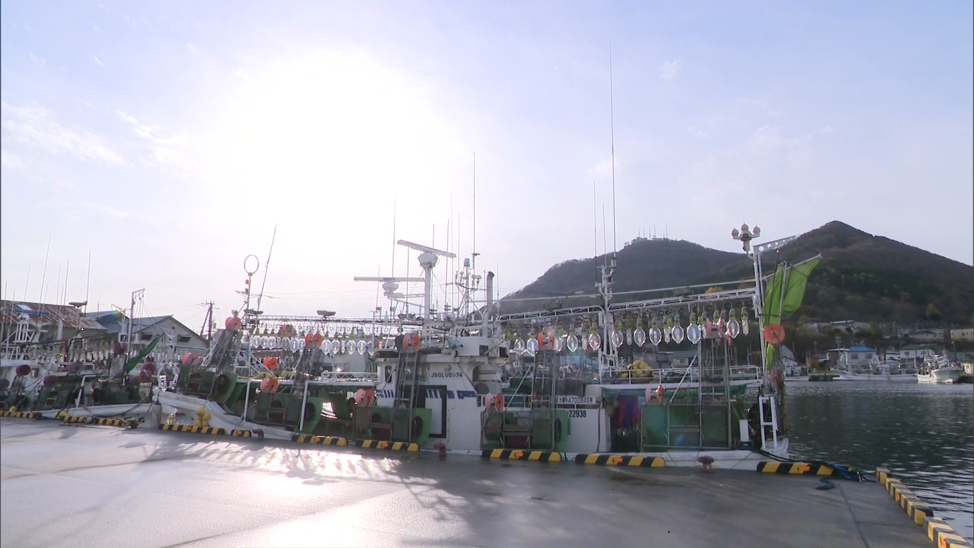 スルメイカが漁期に突入