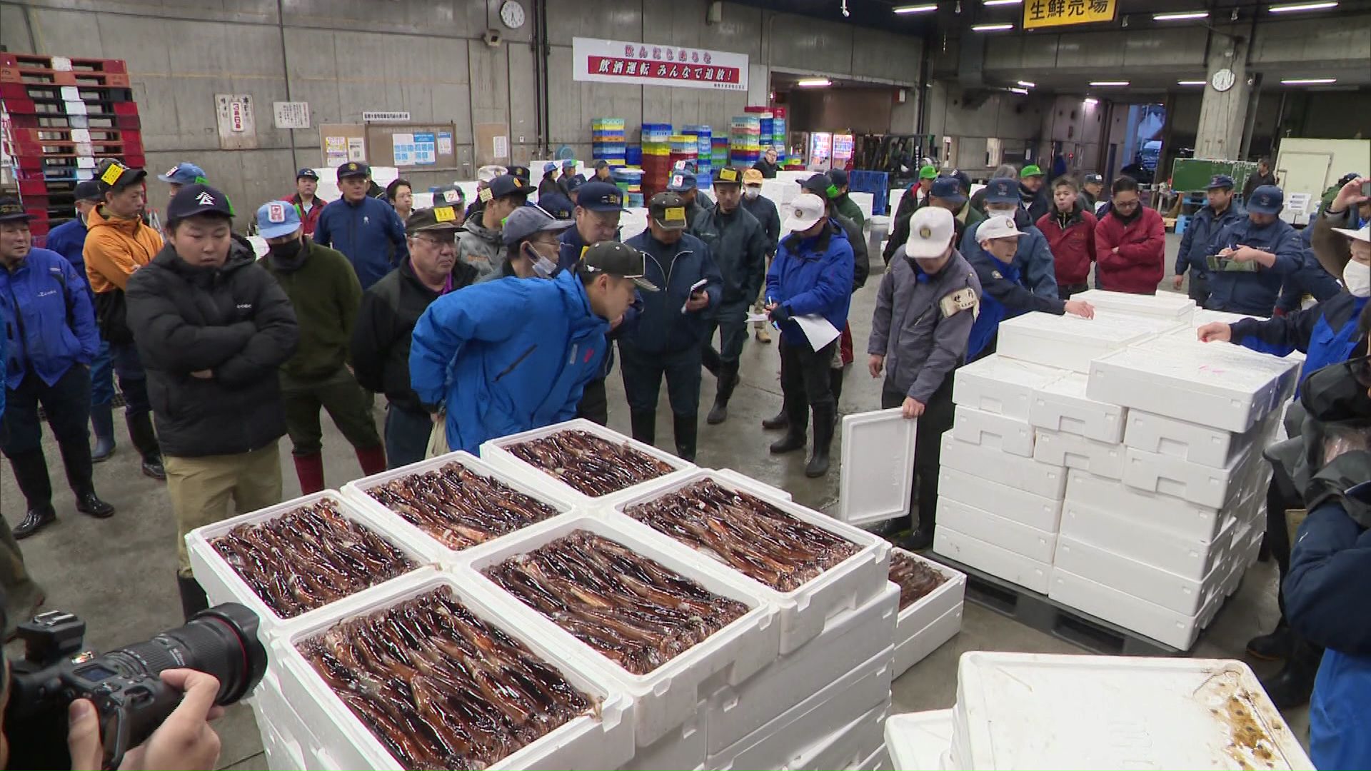 競りでは最も高いもので5キロ1箱、7900円の値がついた