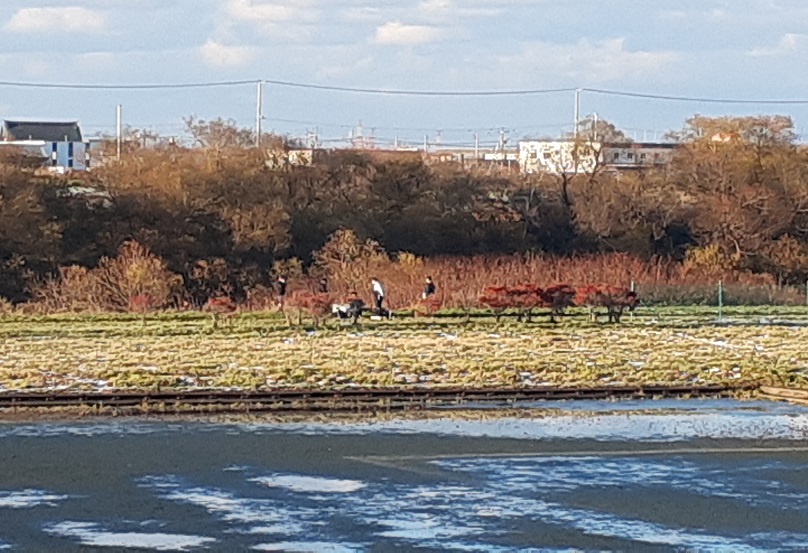 女性が救助された現場