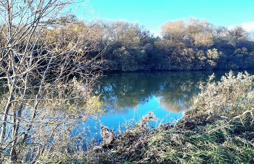 女性が救助された現場付近