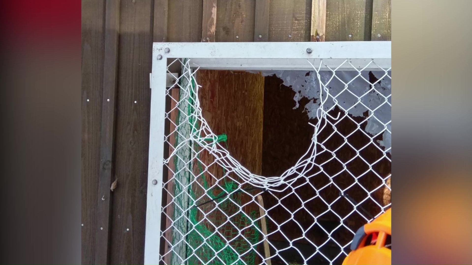 クマにより破壊された金網