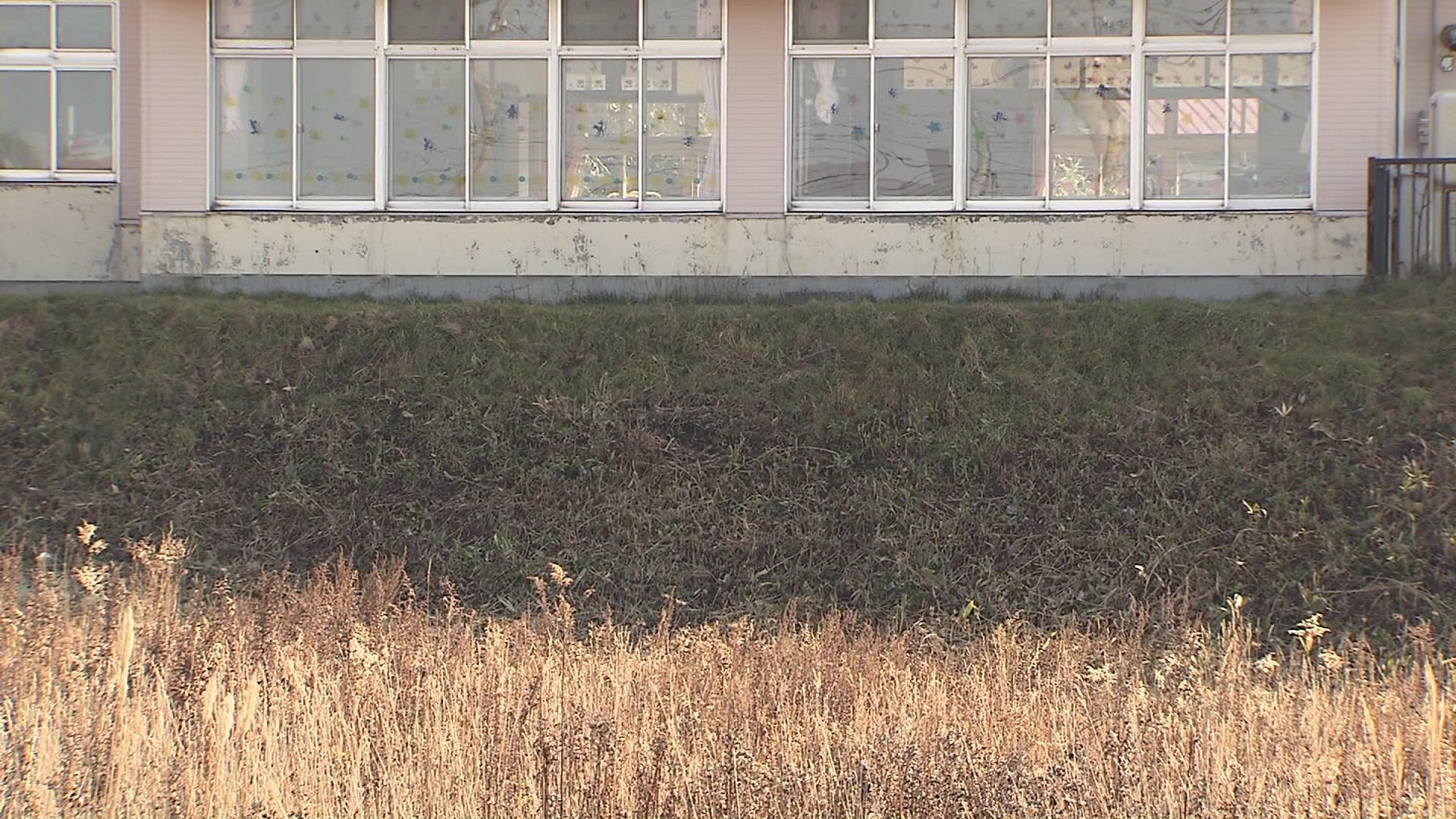 クマ対策で草刈りが行われた場所