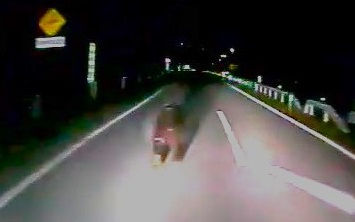 クマと衝突する瞬間(提供:宗谷バス)