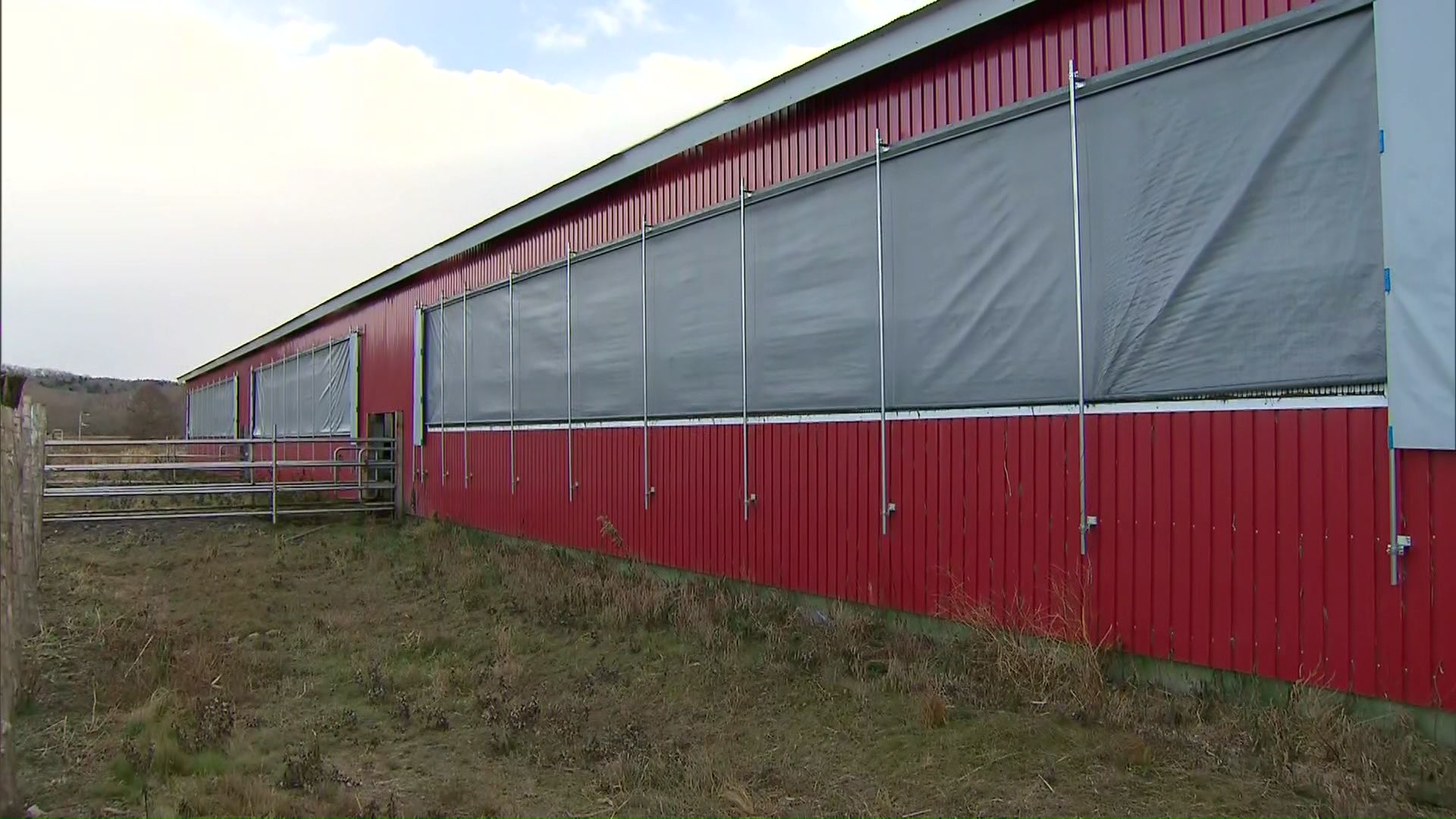JR標茶駅の1キロほど北にある牧場