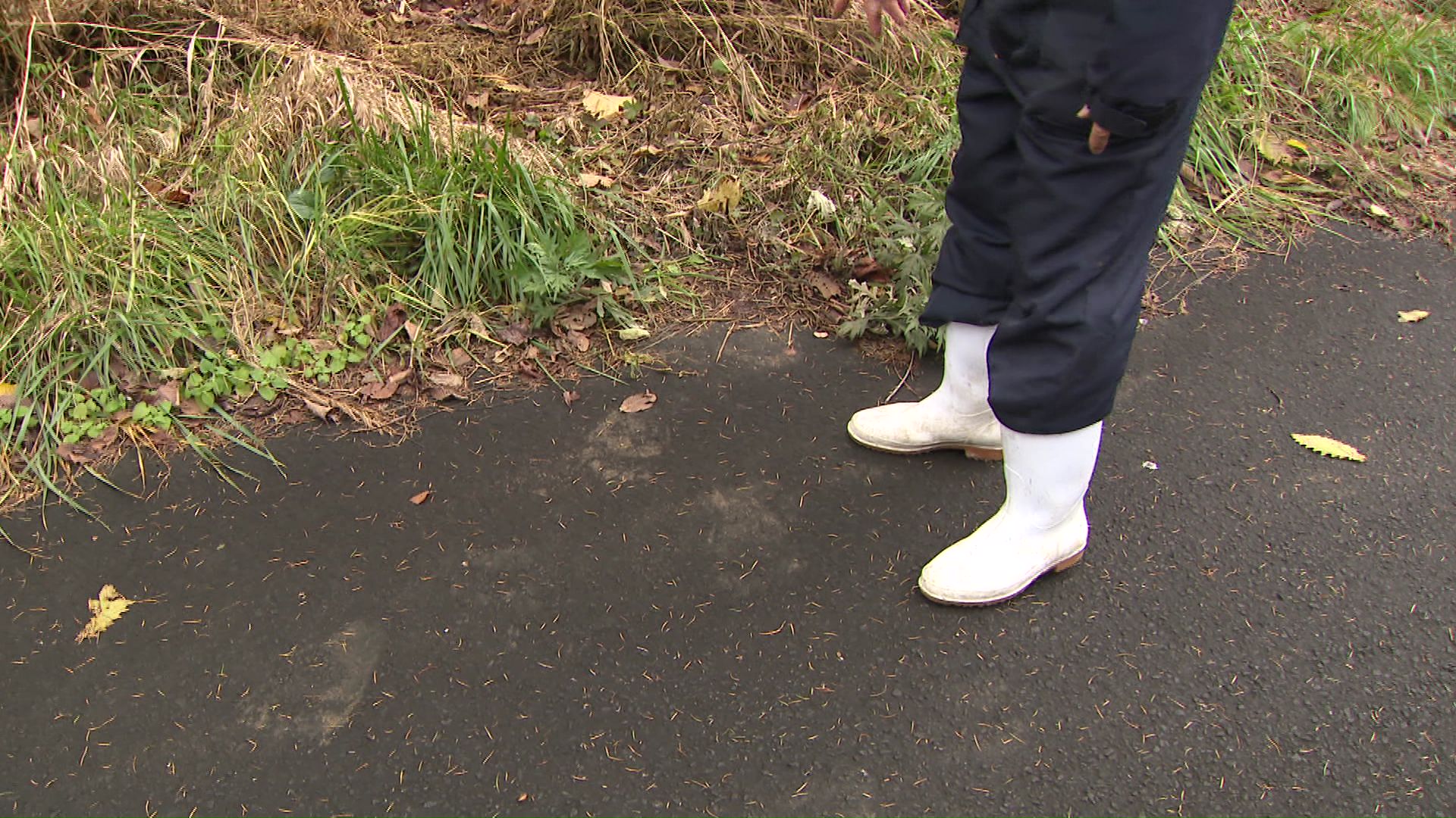 クマの足跡(2025年10月29日)