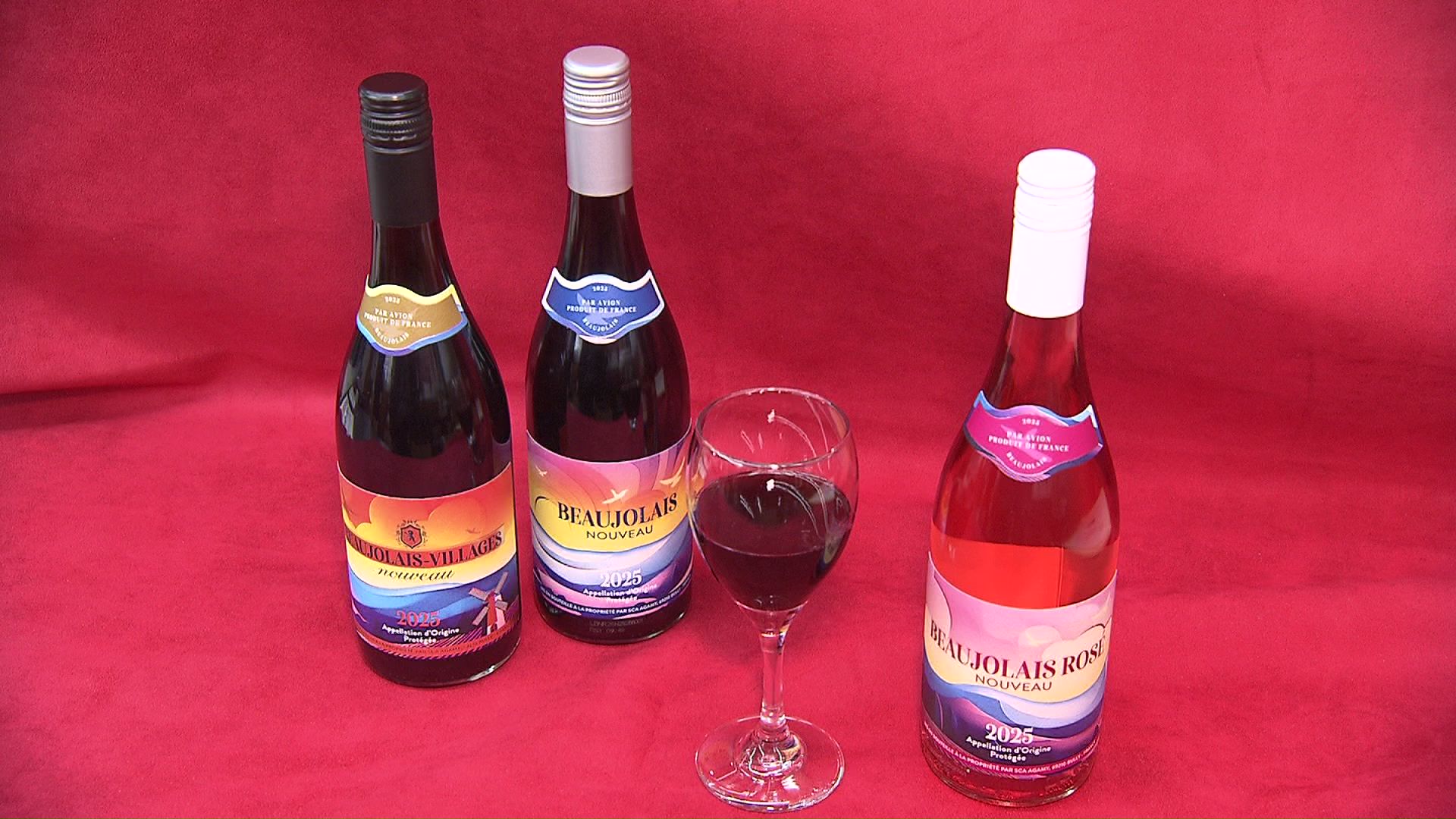 今年は産地の気温が高く、果実味を感じられる味わいに