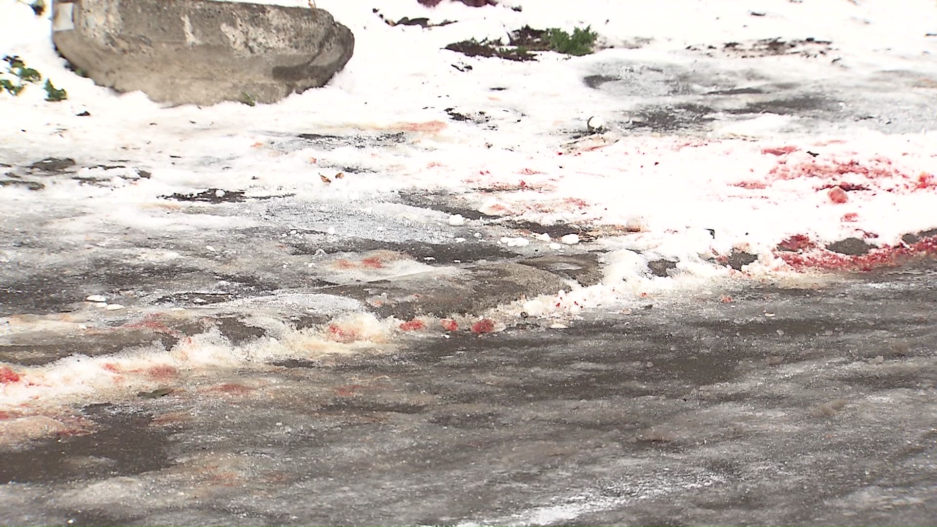 腹部を刺された被害者男性は命に別状なし