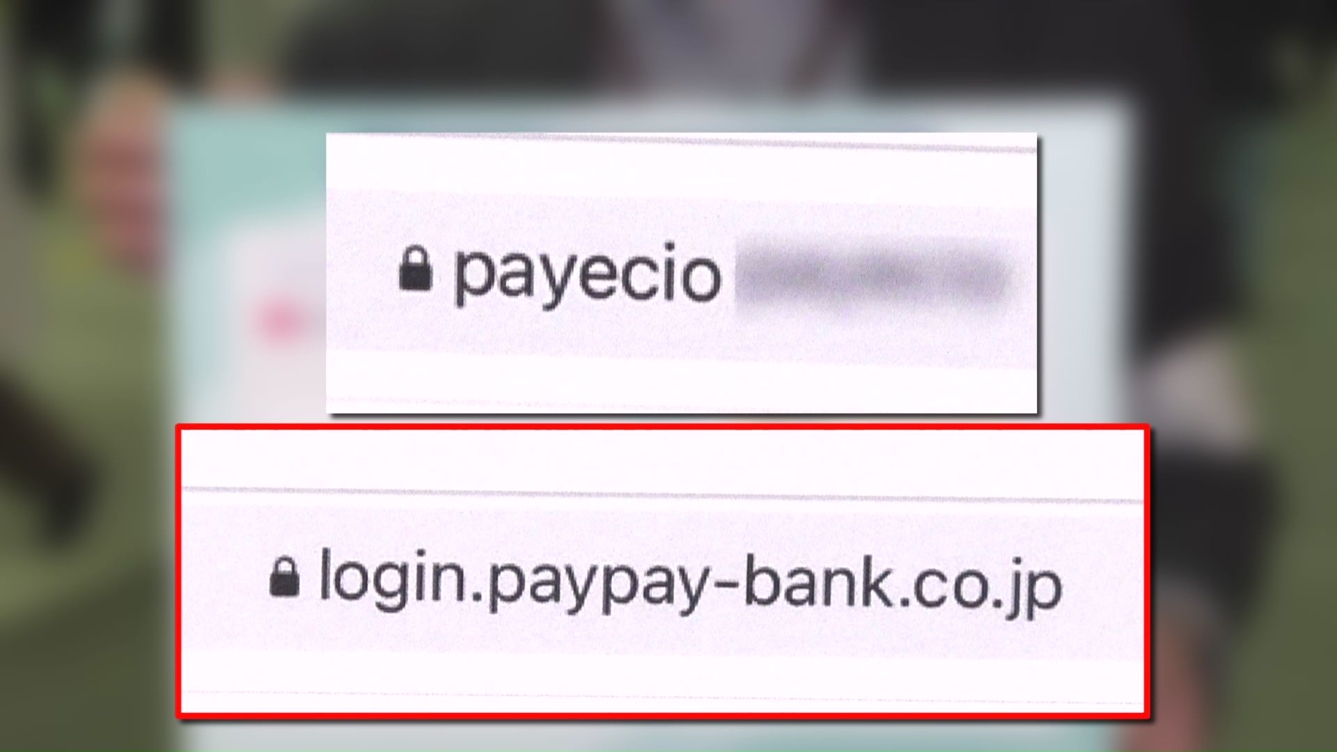 URLをみるとすぐに正しいサイトがわかることも