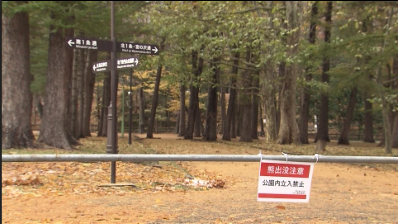 2週間前から閉鎖が続いていた札幌市内の円山公園