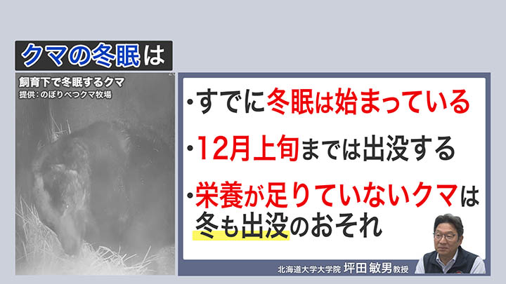 栄養が足りていないクマは冬も出没のおそれ