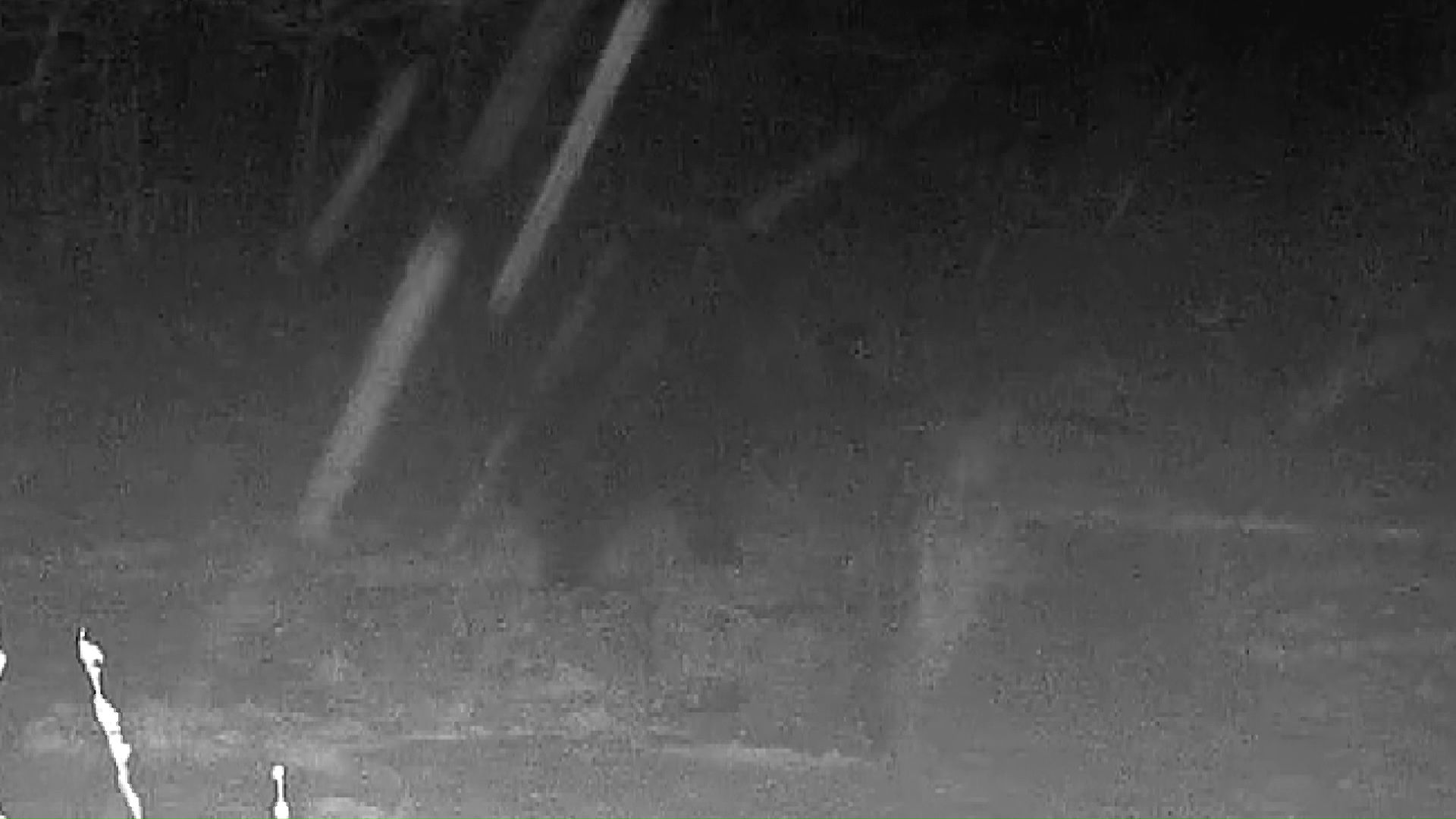 クマがいとも簡単にひっくり返した(提供:林会長)