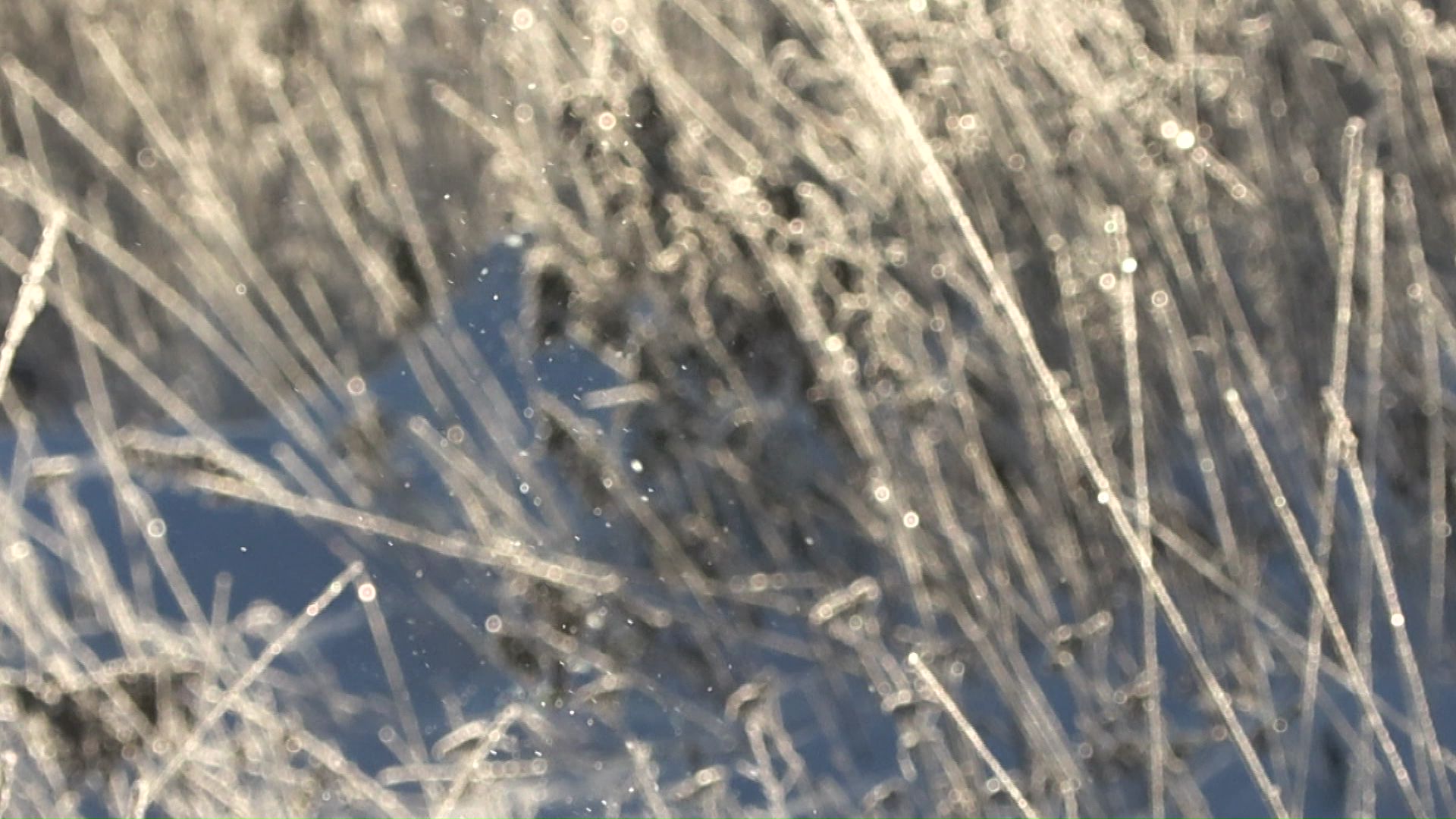 道内の26地点で氷点下10度を下回る