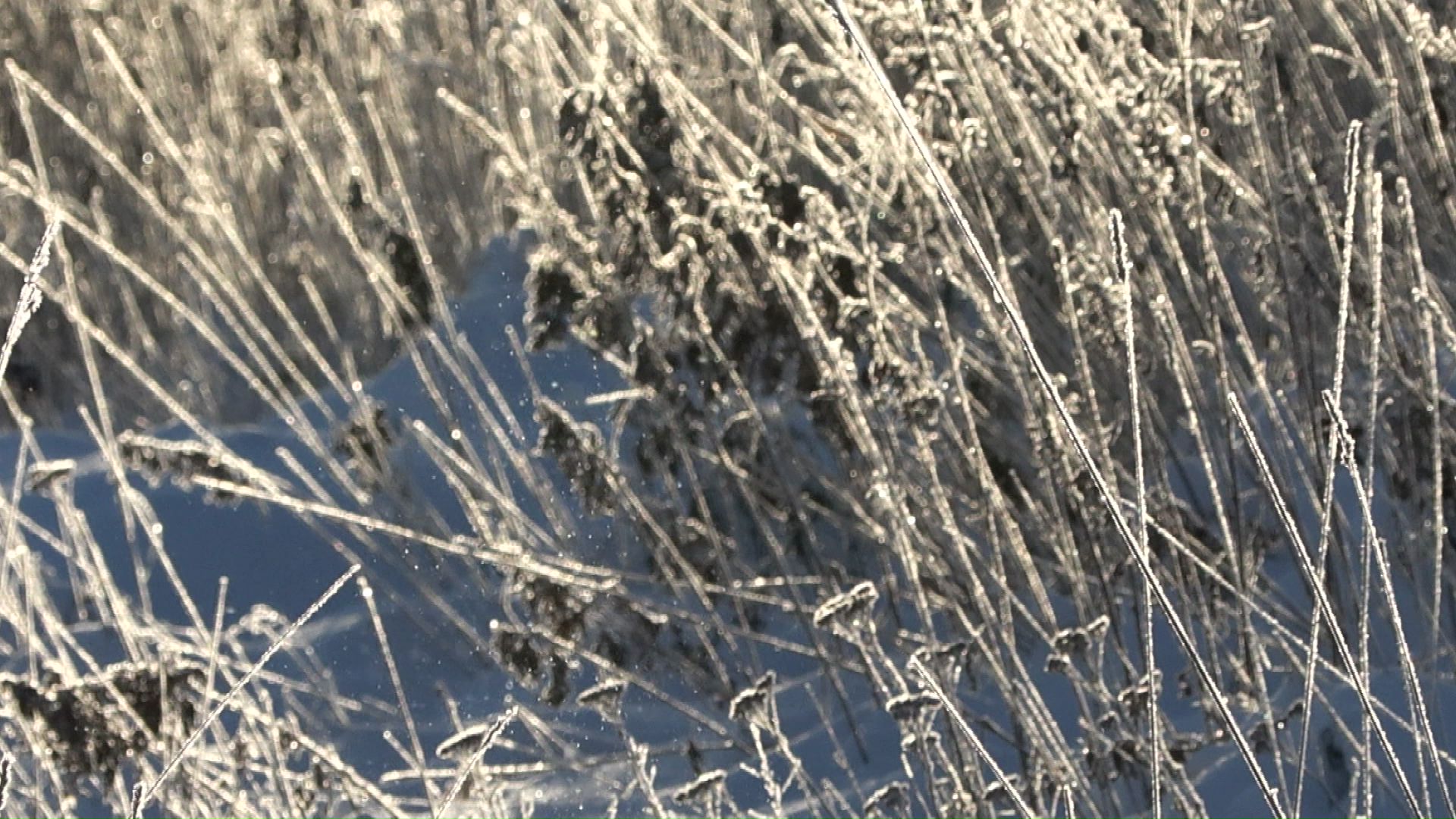 ダイヤモンドダスト現象もみられた
