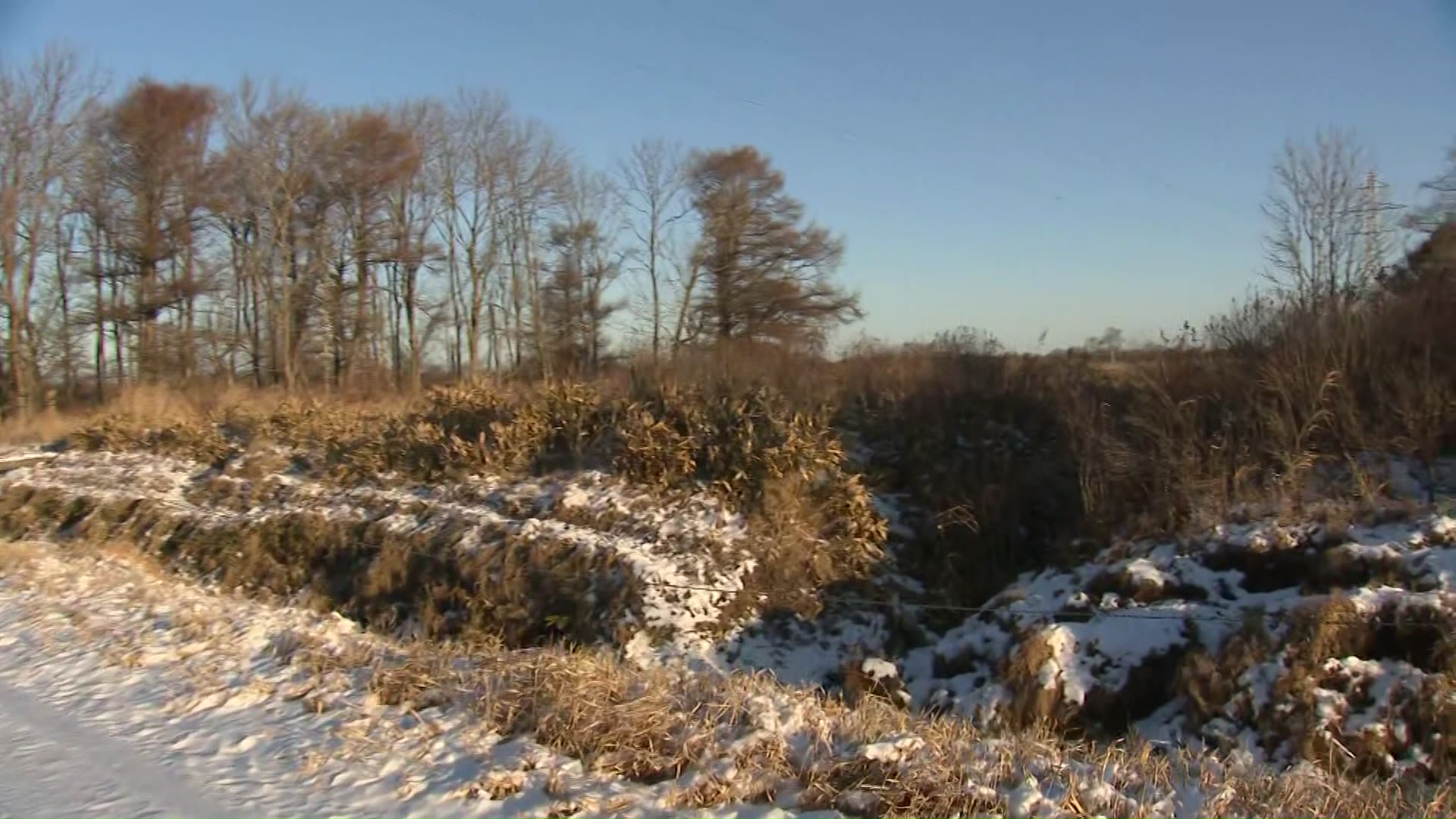 「日本エコロジー」のメガソーラー建設予定地