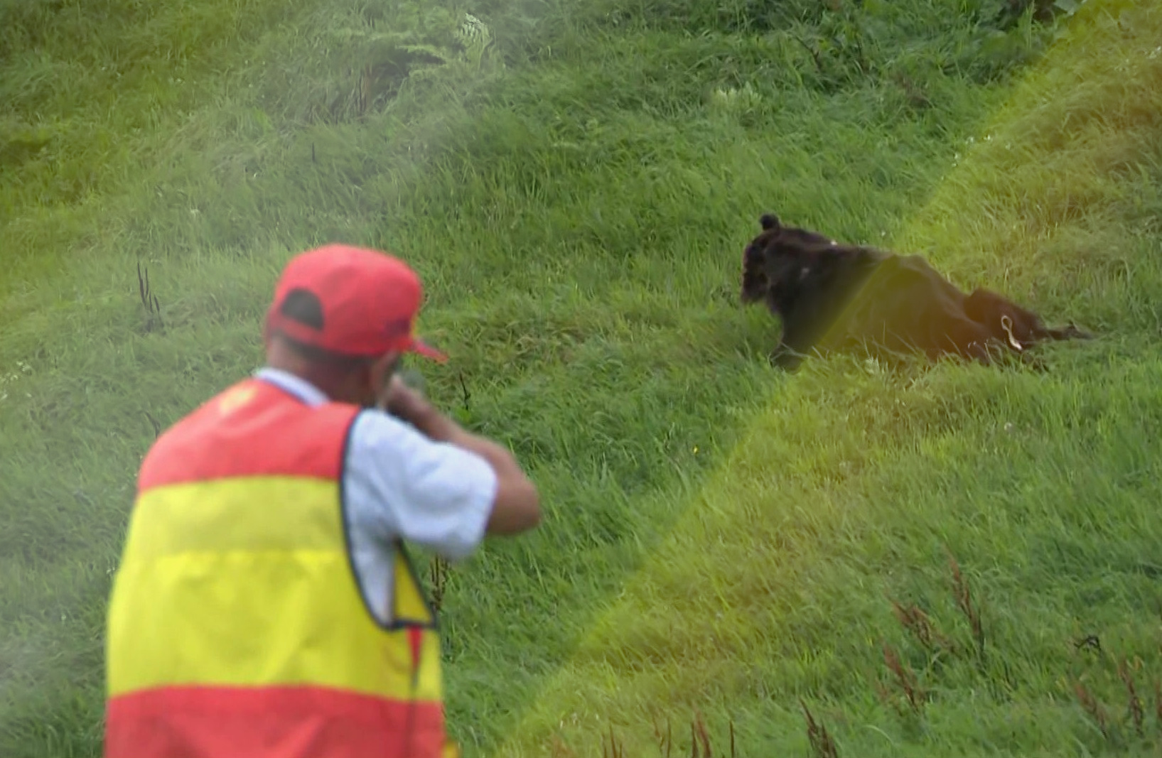 鳥獣捕獲にあたるハンター（イメージ）