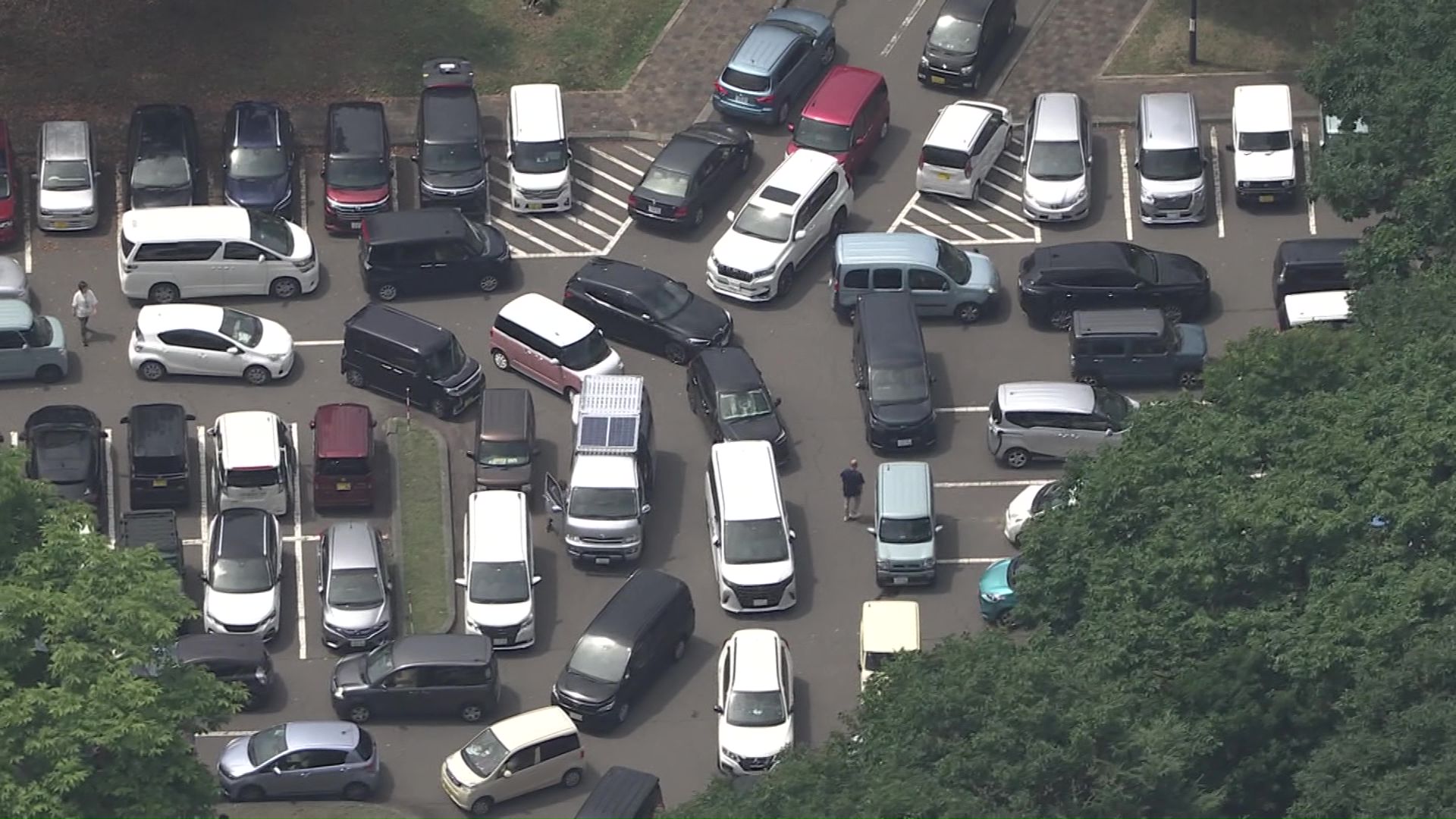 当時苫小牧市の高台にある緑ケ丘公園付近は駐車場が車であふれていた