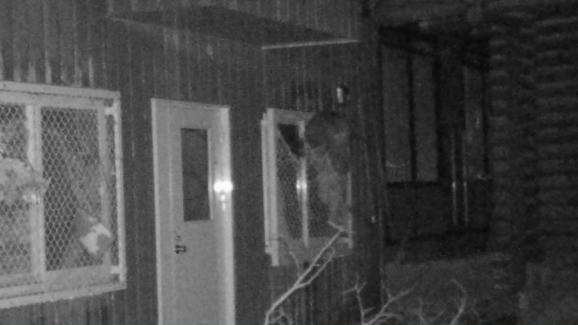 金網をつかんで侵入を試みるクマ(提供:札幌市)