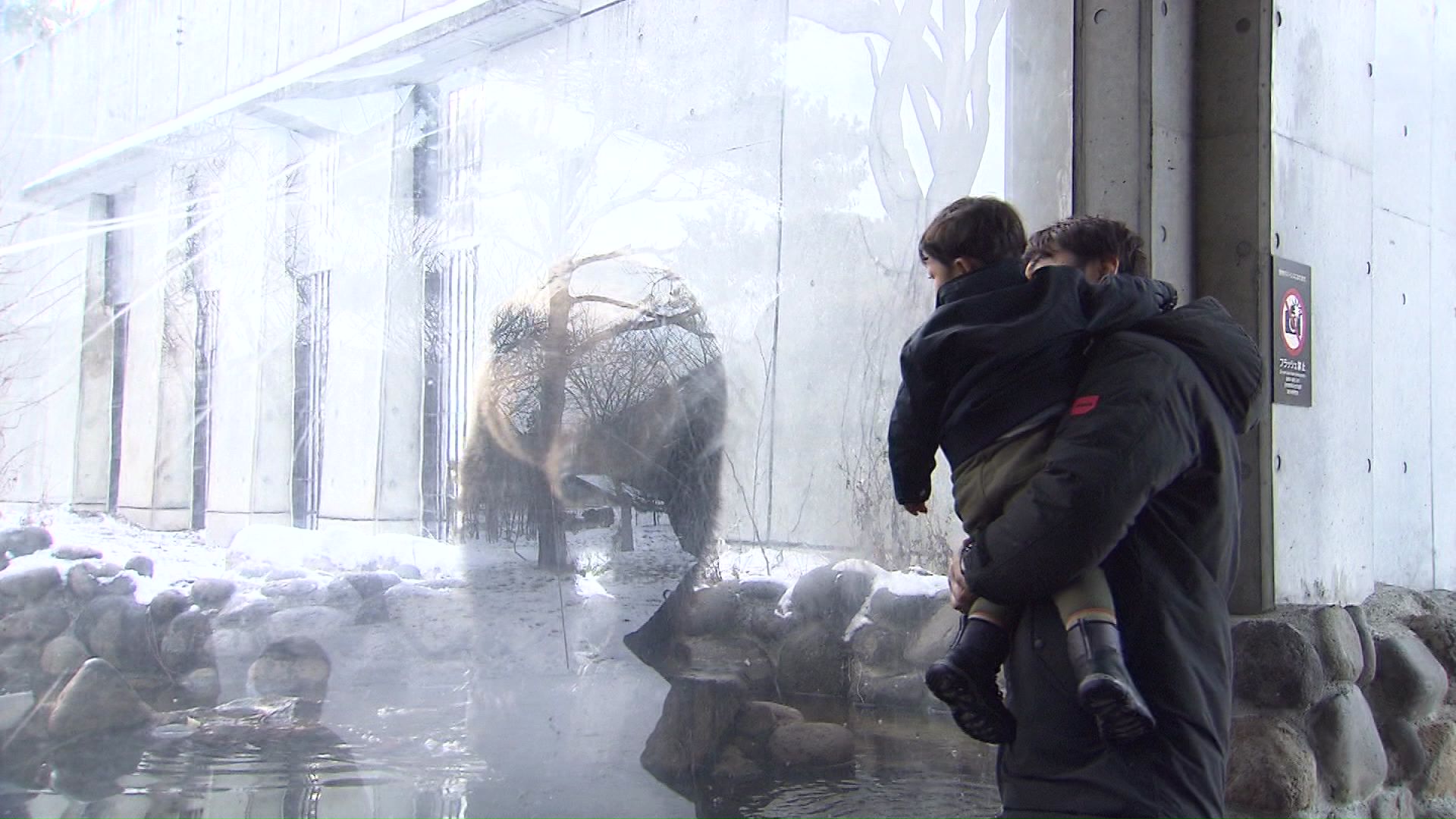 飼育されているクマを観察する来場者